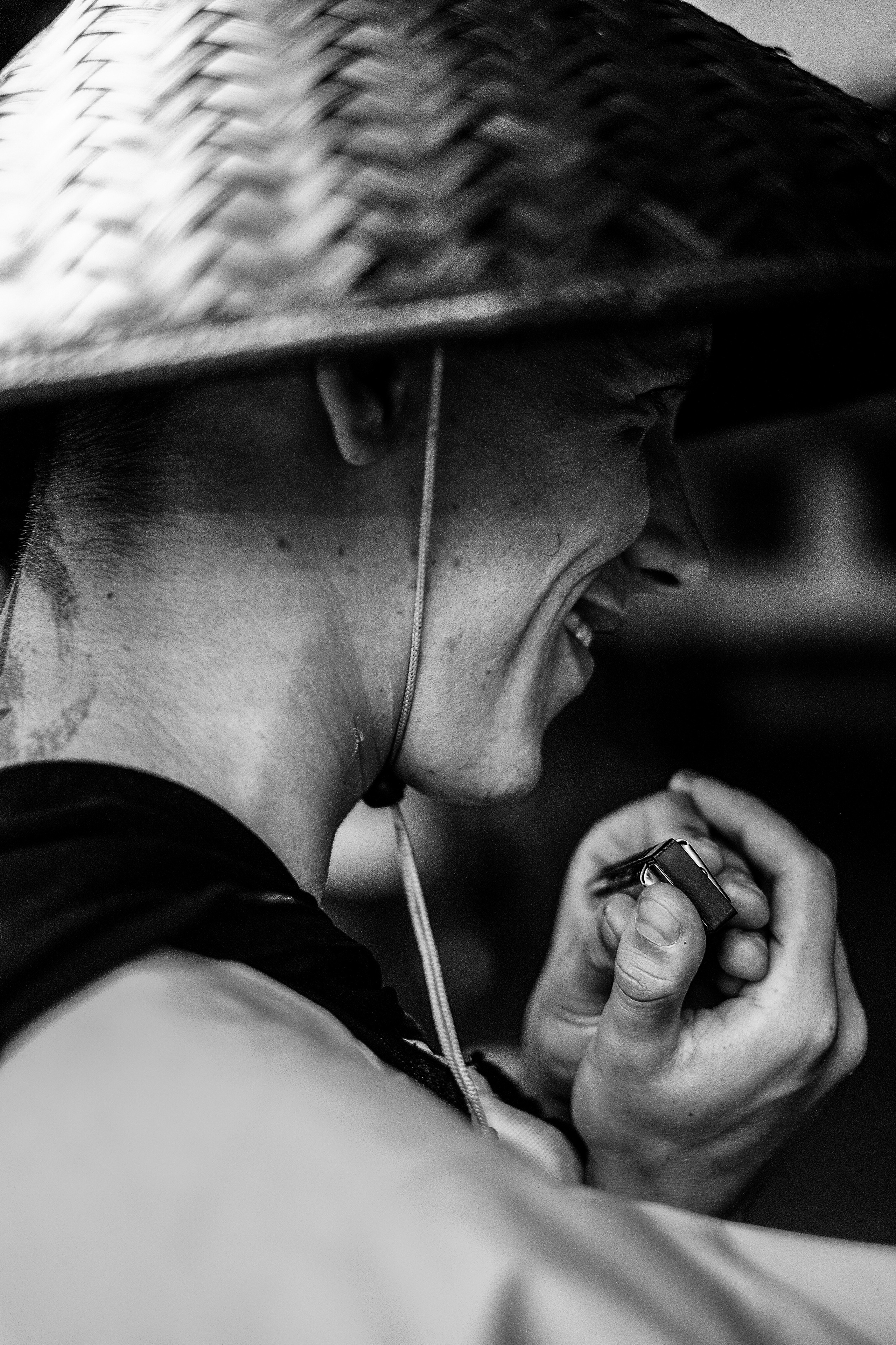 MOUNTAINS ASS FAMILY