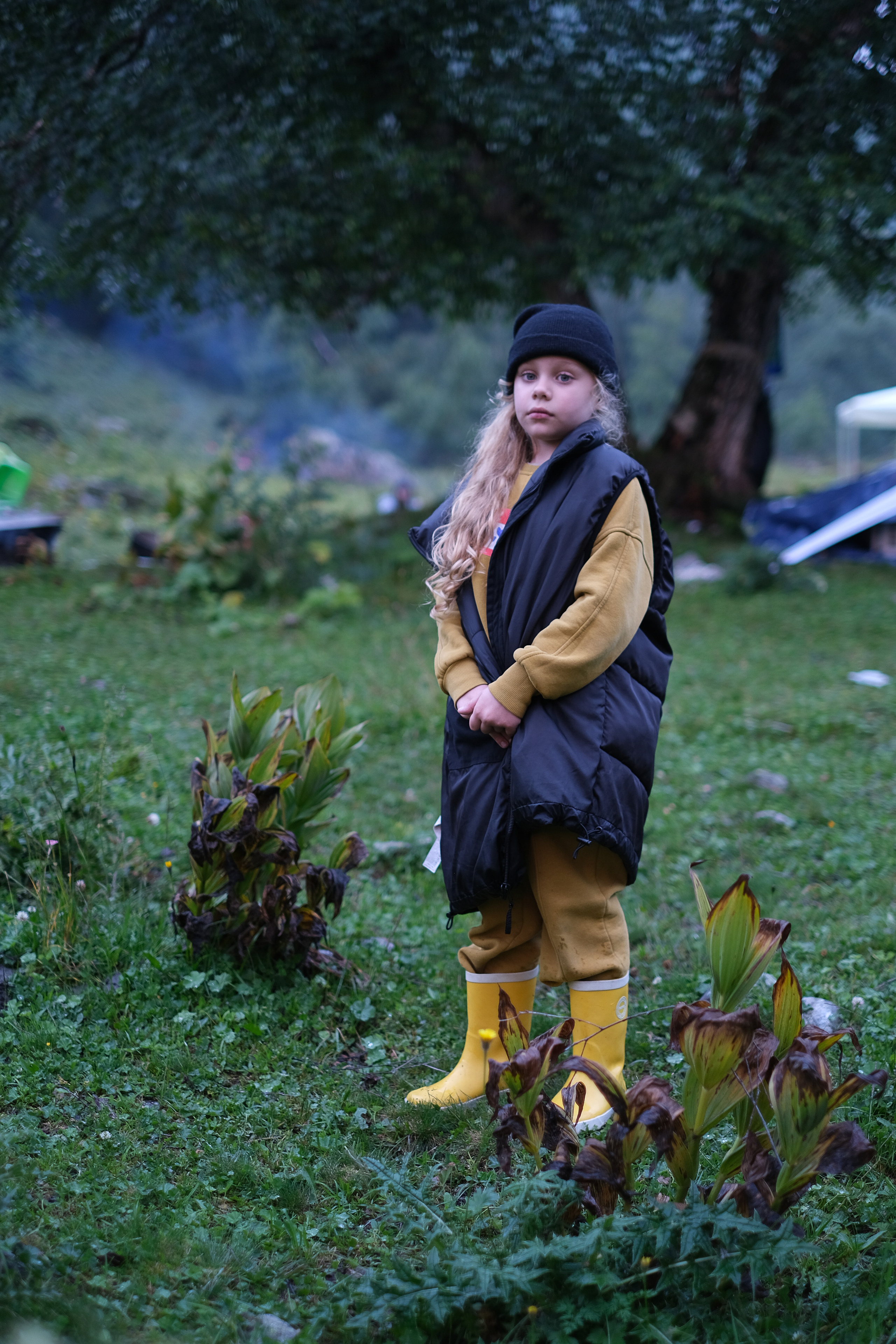 MOUNTAINS ASS FAMILY