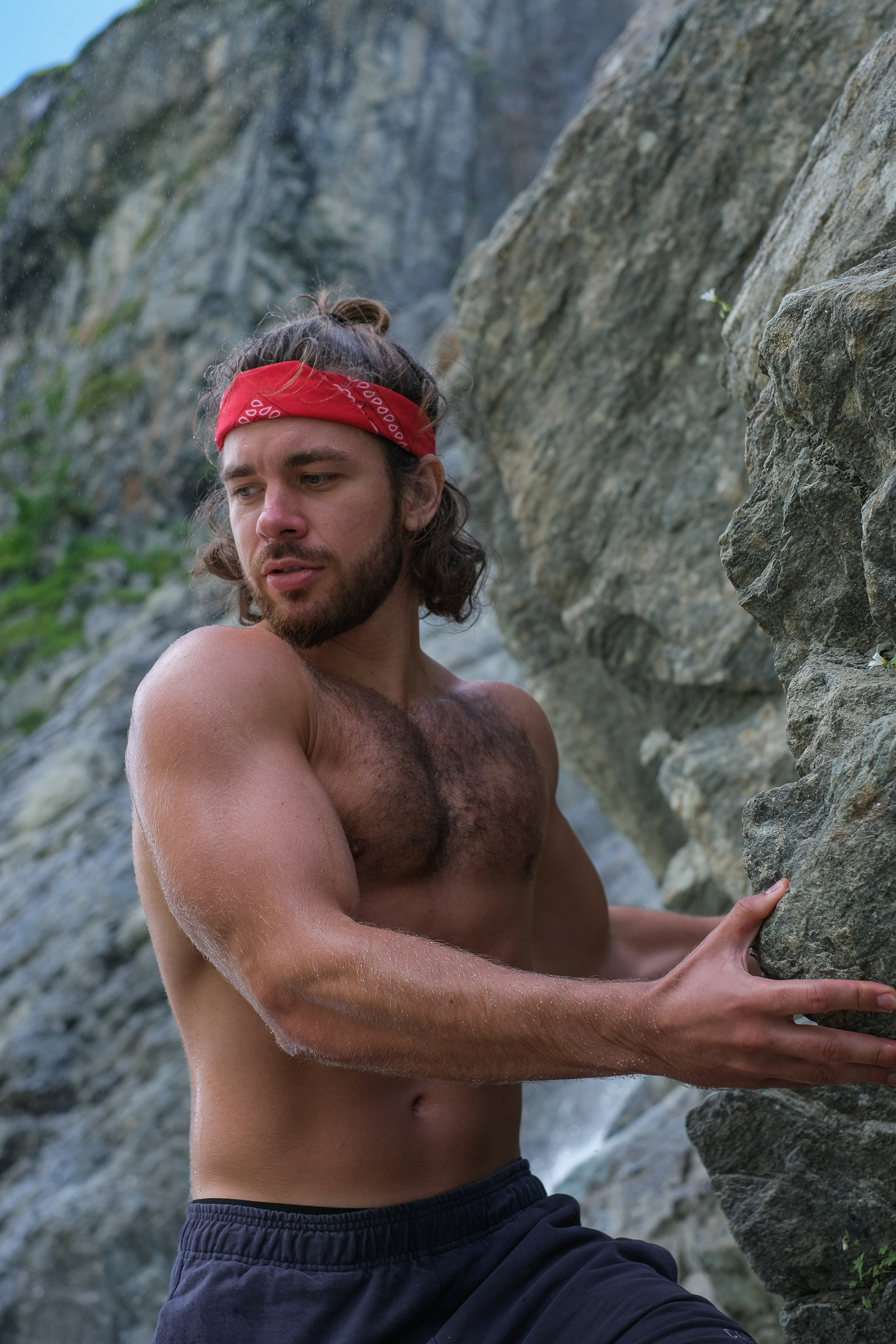 MOUNTAINS ASS FAMILY