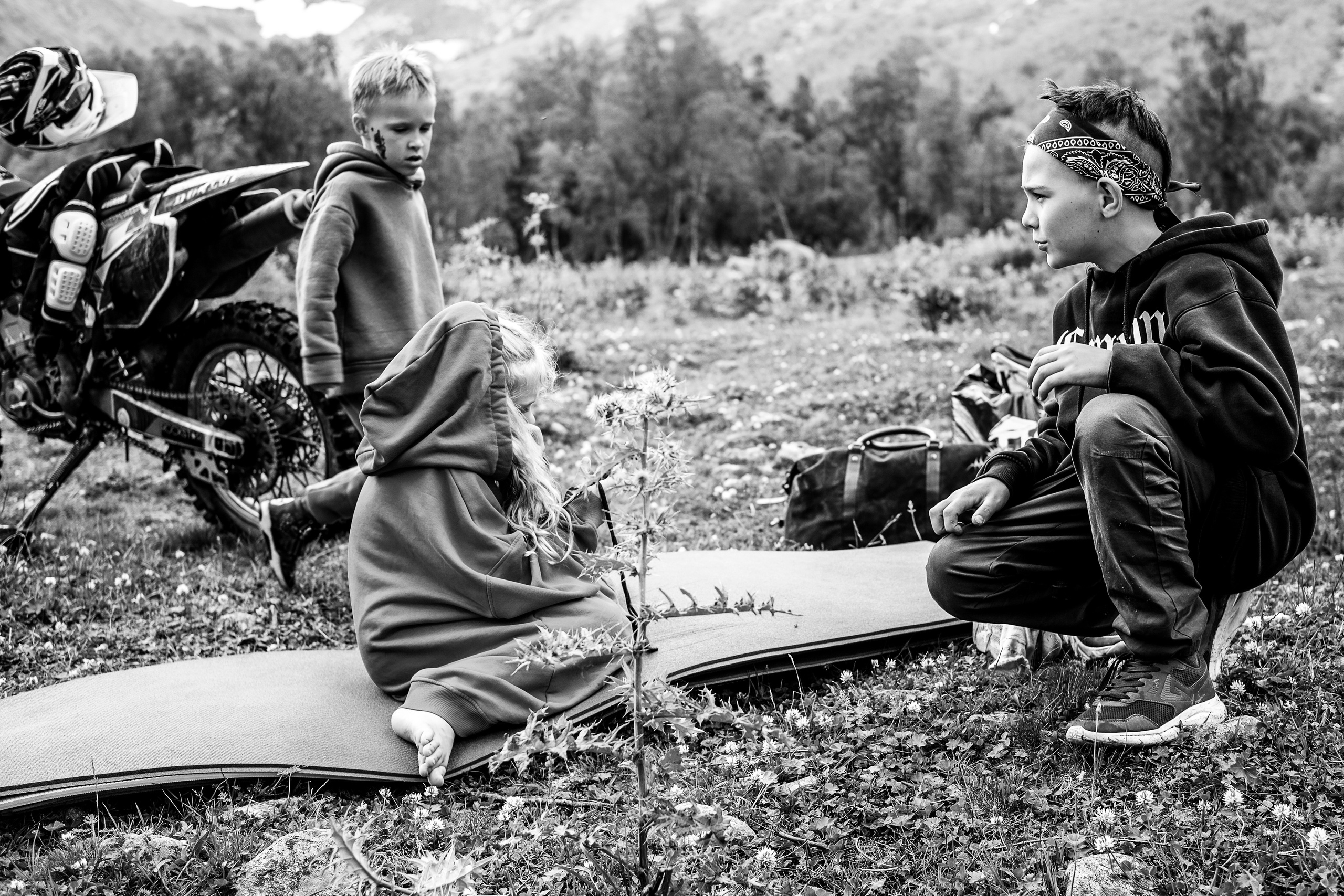 MOUNTAINS ASS FAMILY