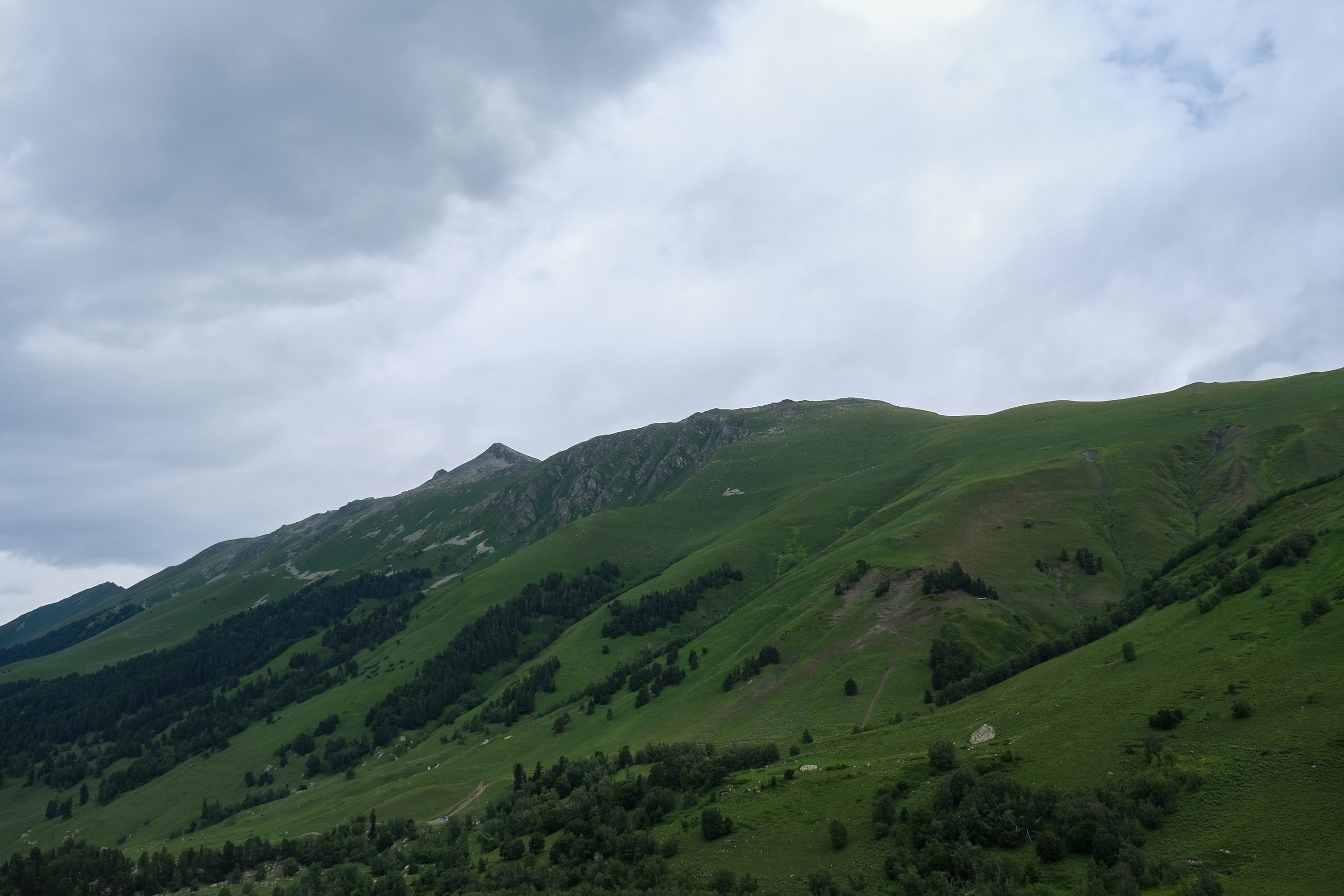 MOUNTAINS ASS FAMILY