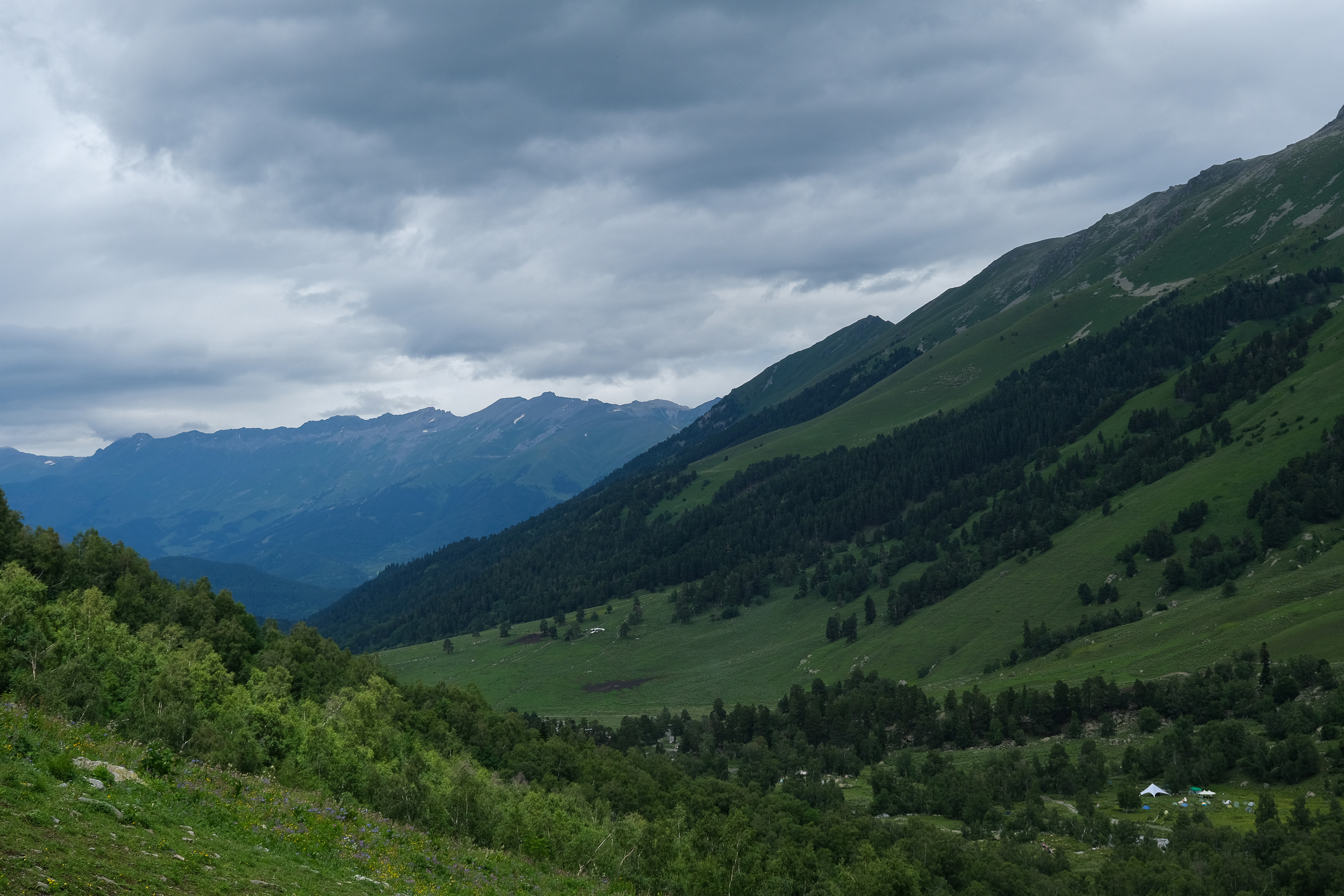 MOUNTAINS ASS FAMILY