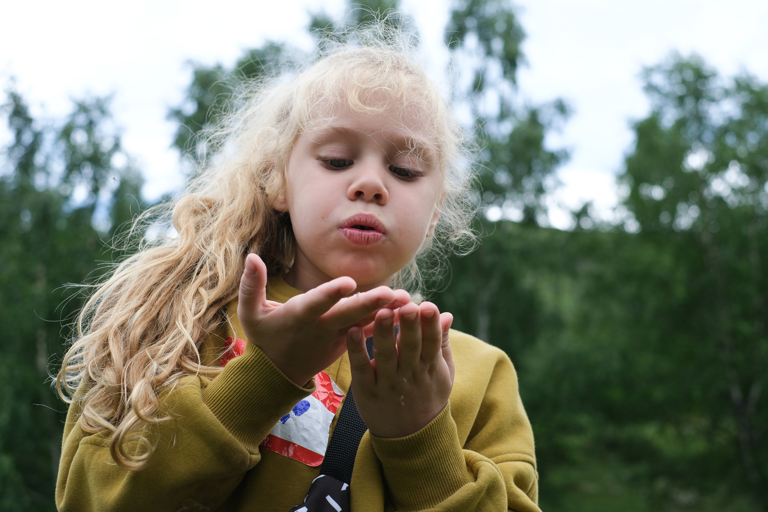 MOUNTAINS ASS FAMILY