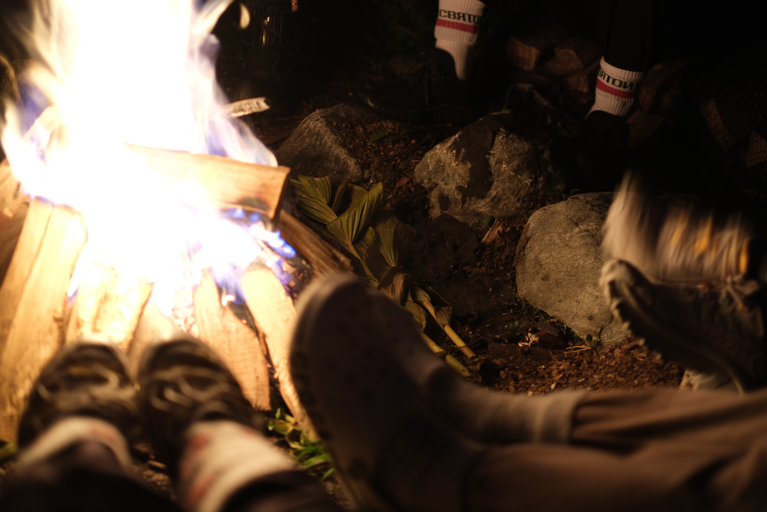 MOUNTAINS ASS FAMILY