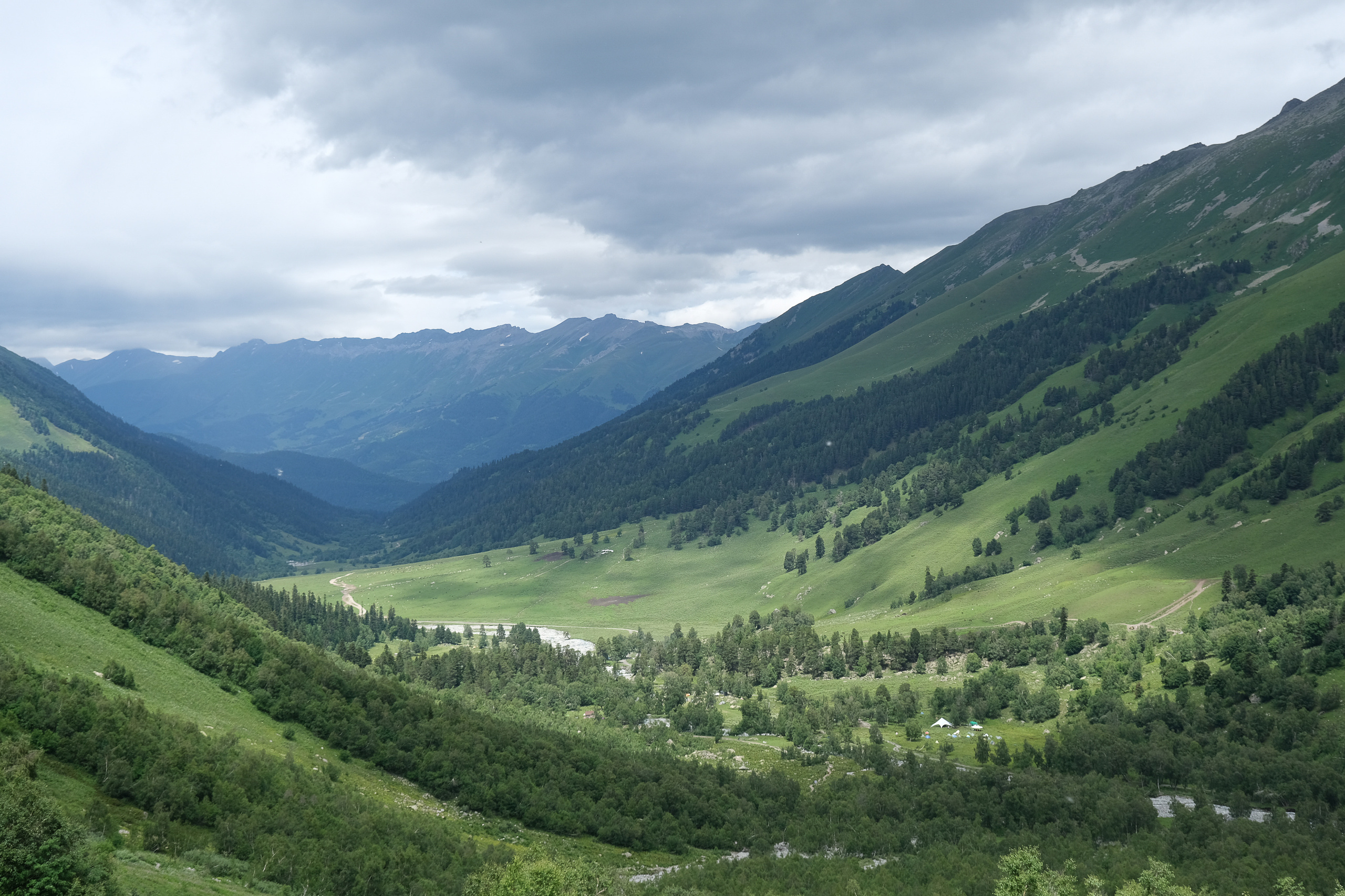 MOUNTAINS ASS FAMILY