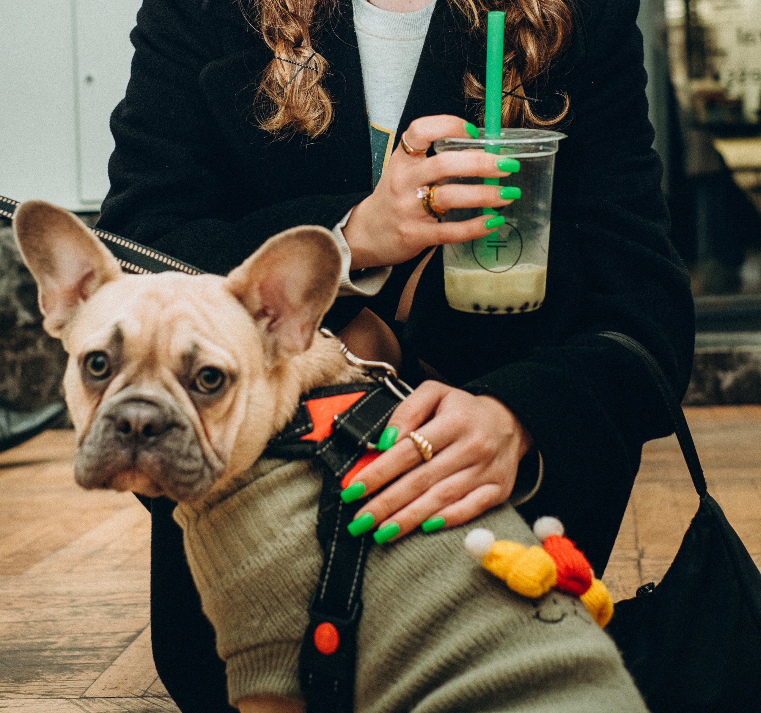 Exhibition. Art event