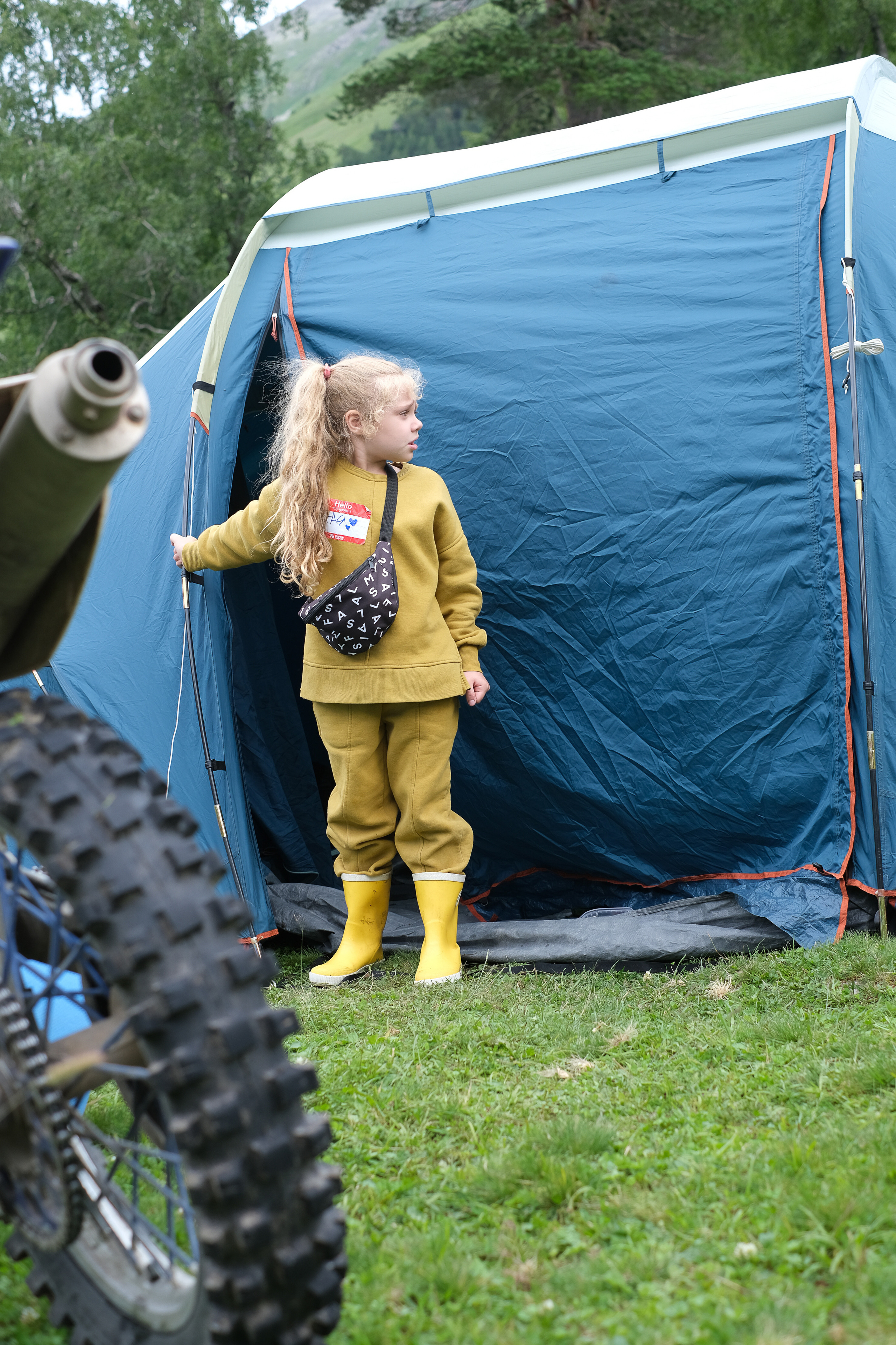 MOUNTAINS ASS FAMILY