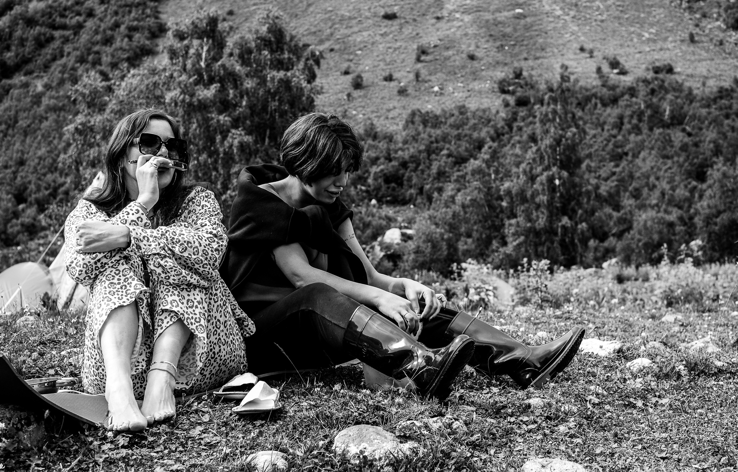 MOUNTAINS ASS FAMILY