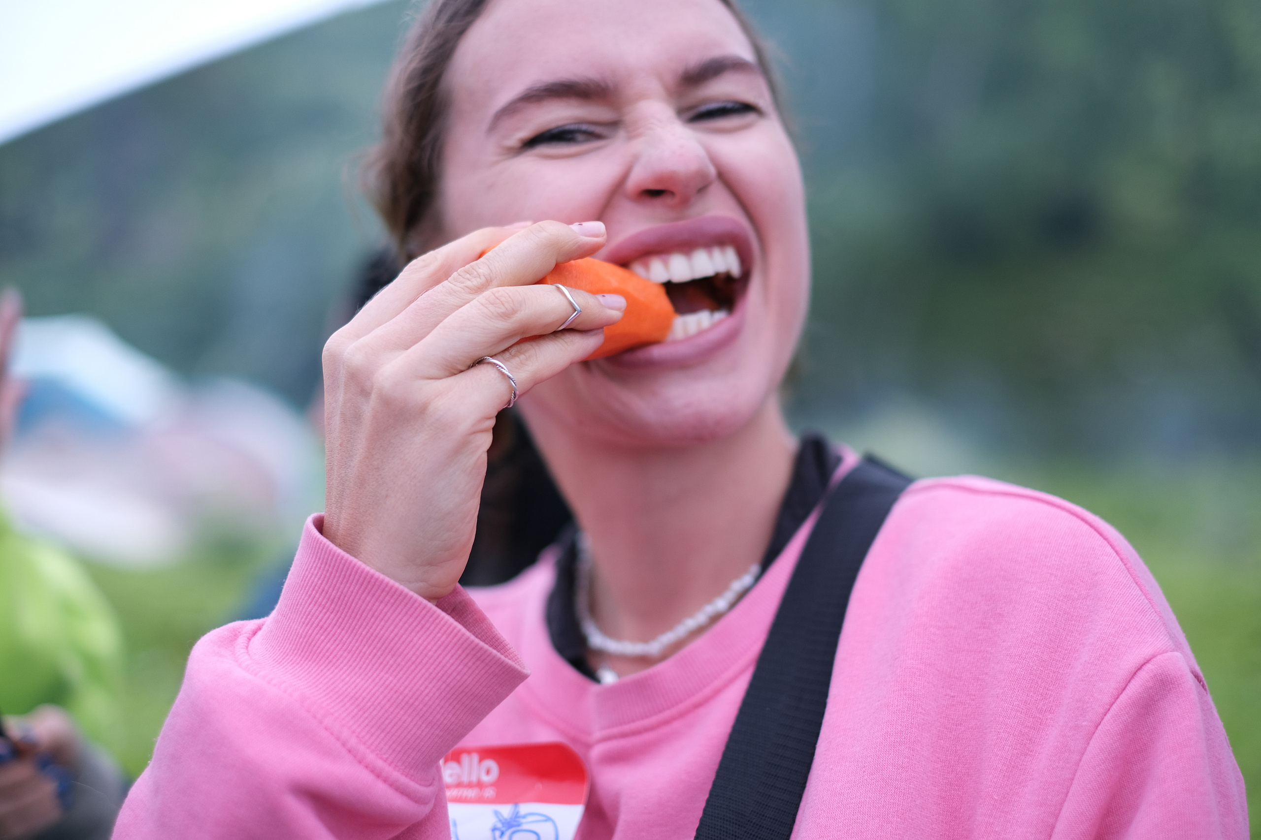 MOUNTAINS ASS FAMILY