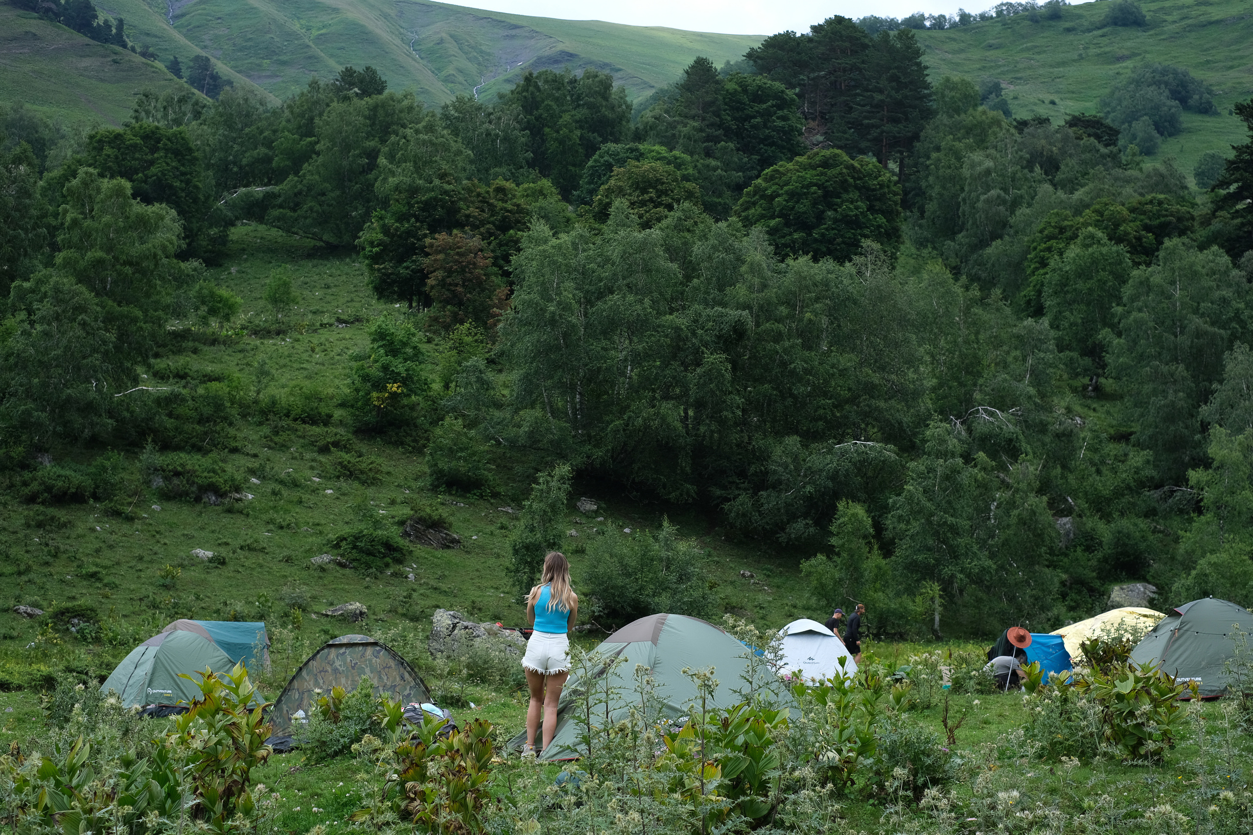 MOUNTAINS ASS FAMILY
