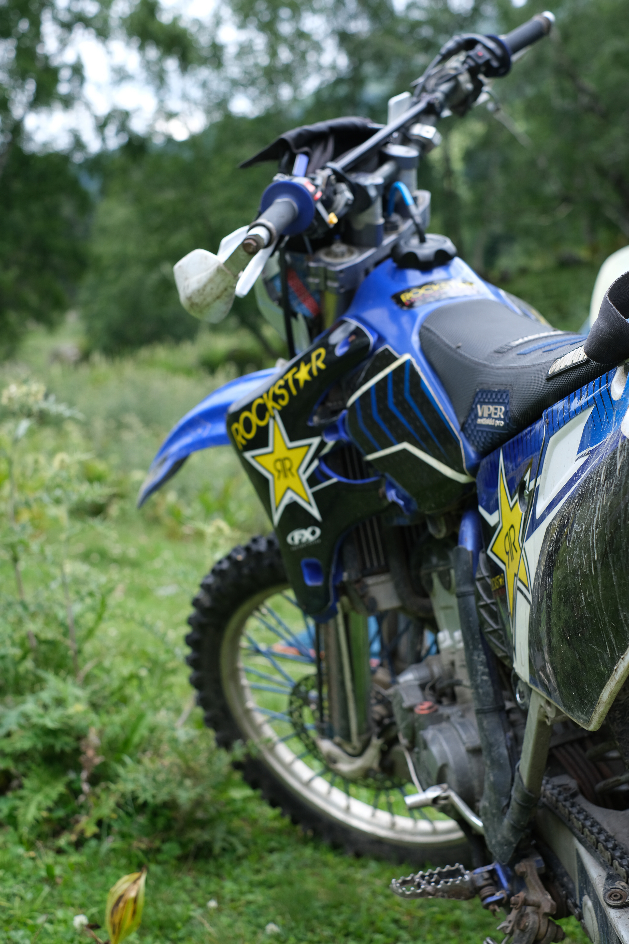 MOUNTAINS ASS FAMILY