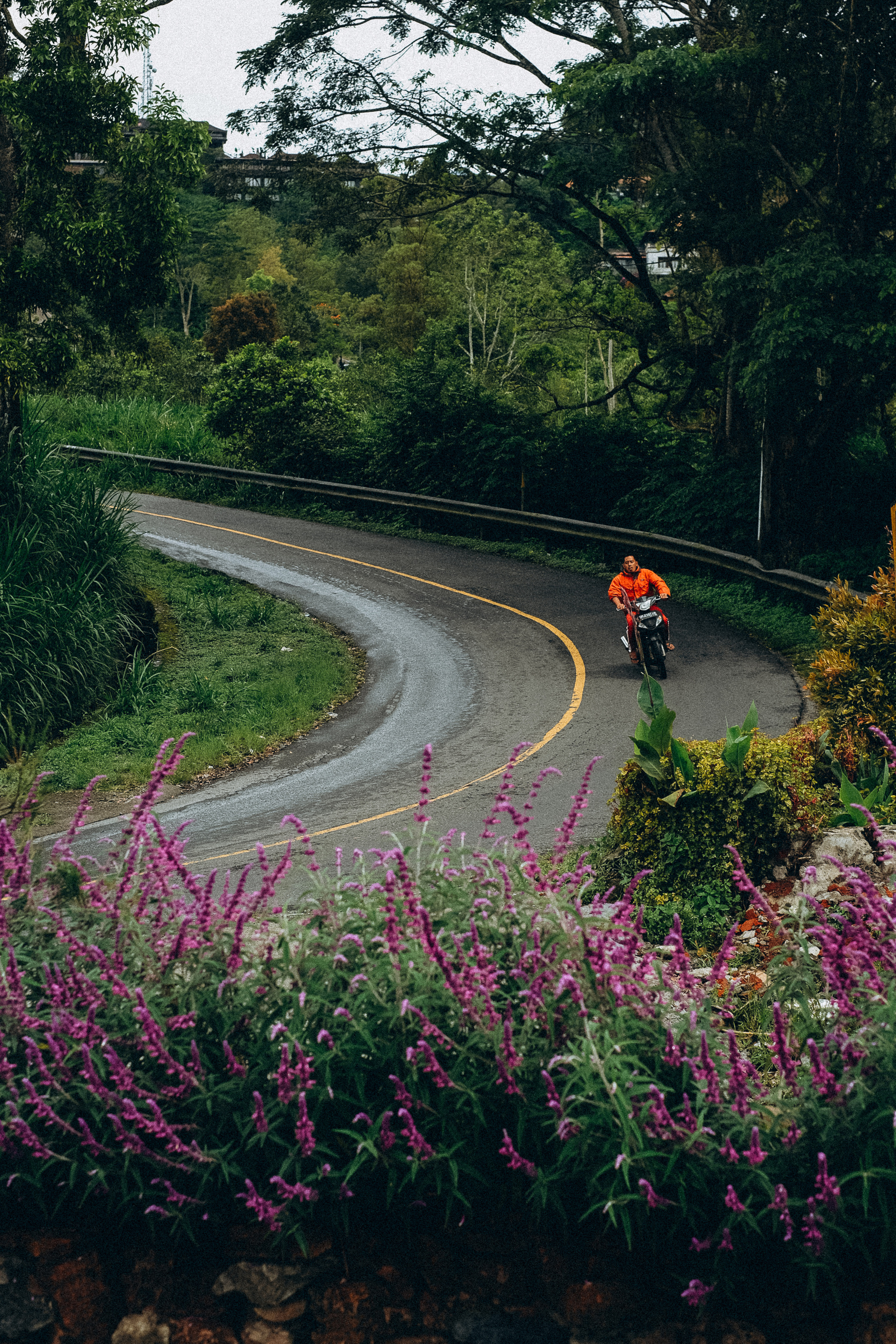 Moments of life in Bali