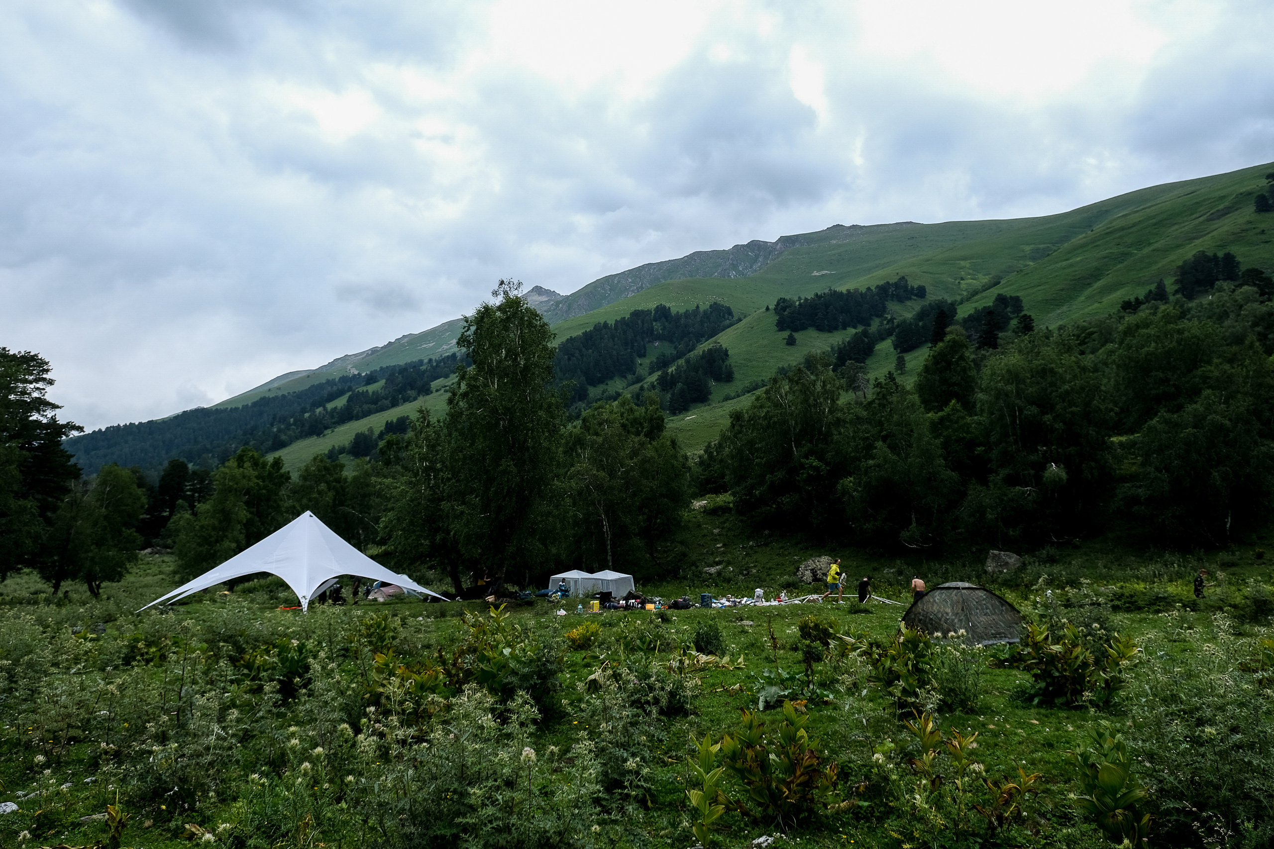 MOUNTAINS ASS FAMILY