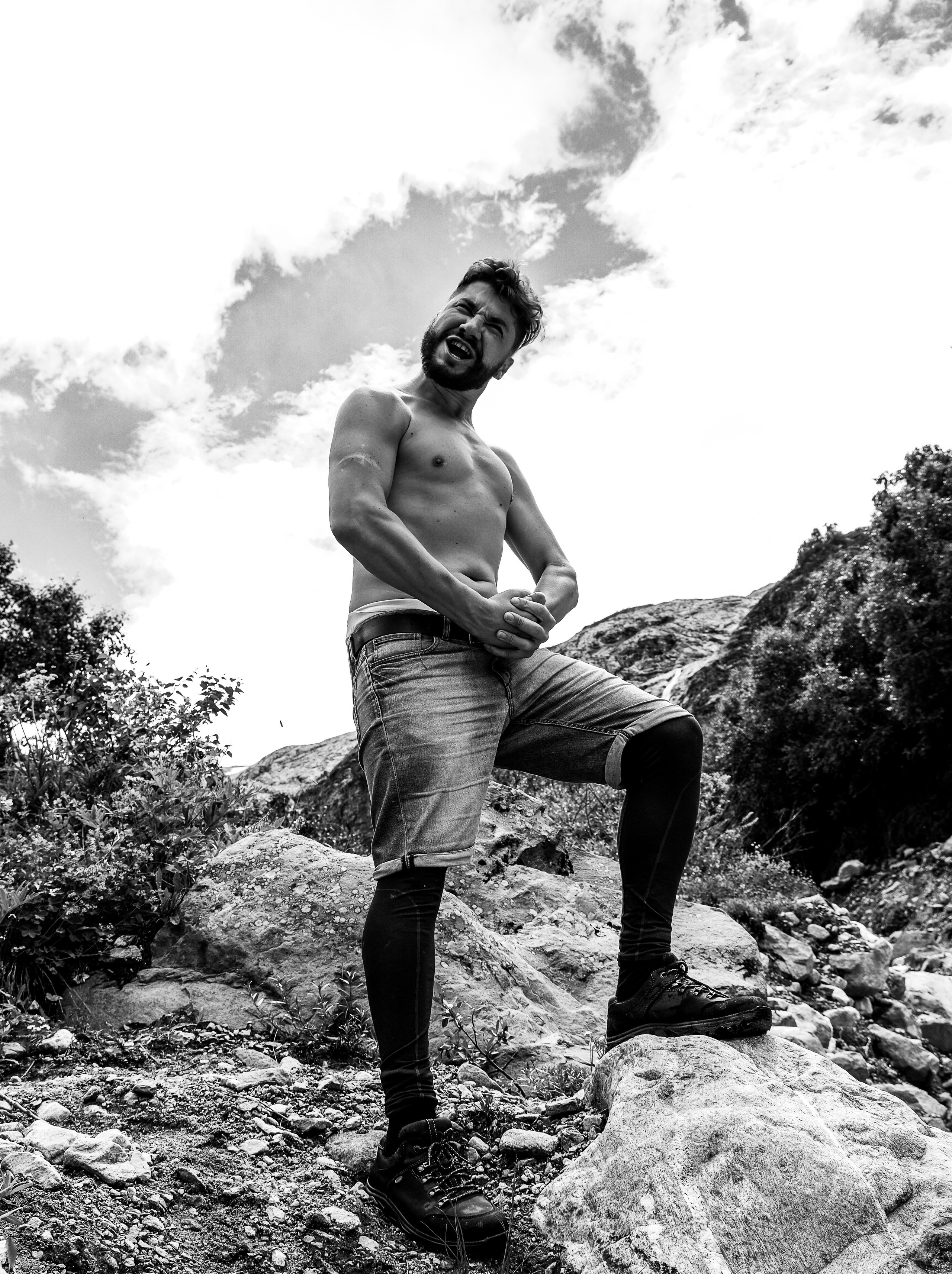 MOUNTAINS ASS FAMILY