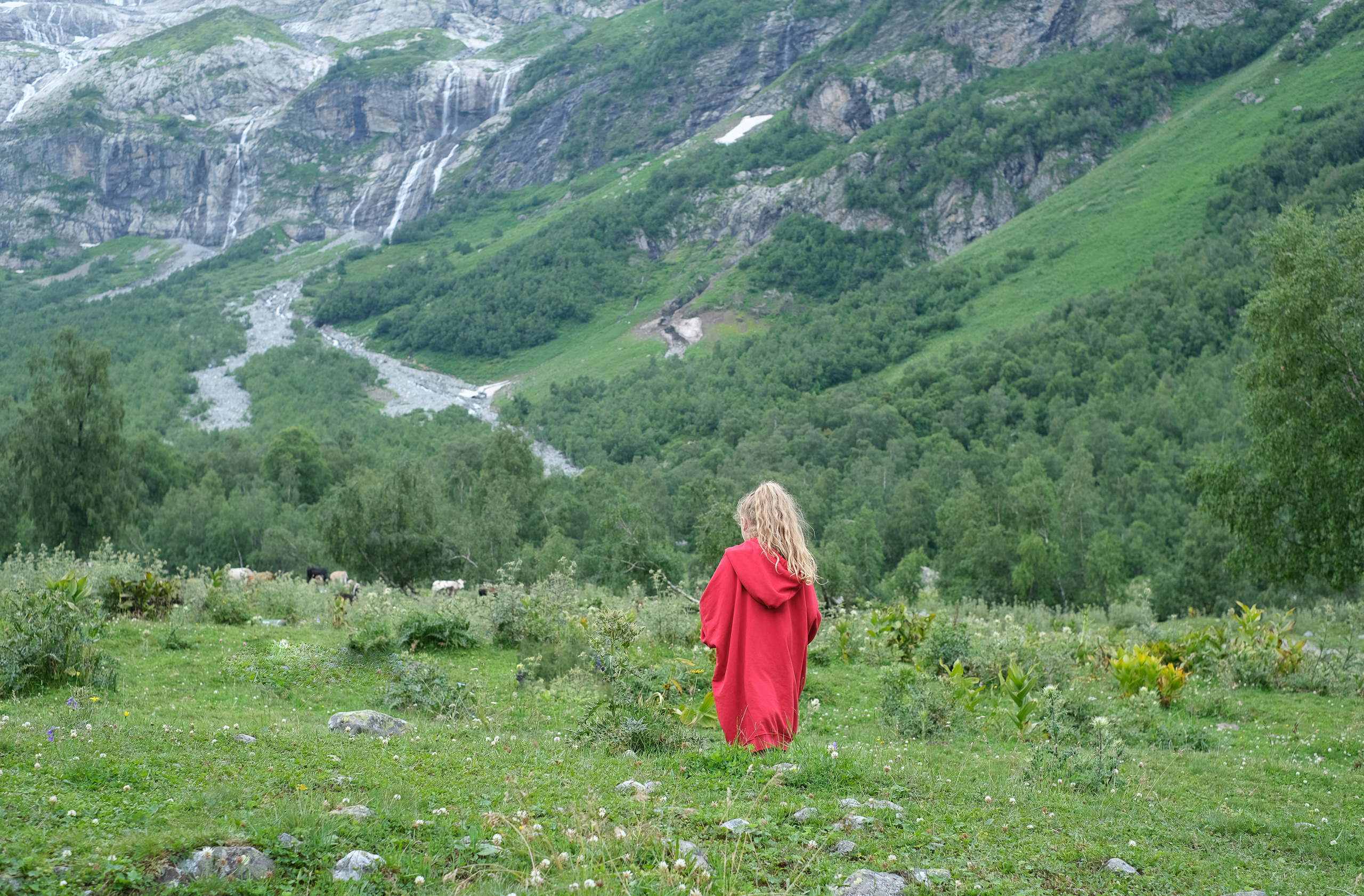 MOUNTAINS ASS FAMILY