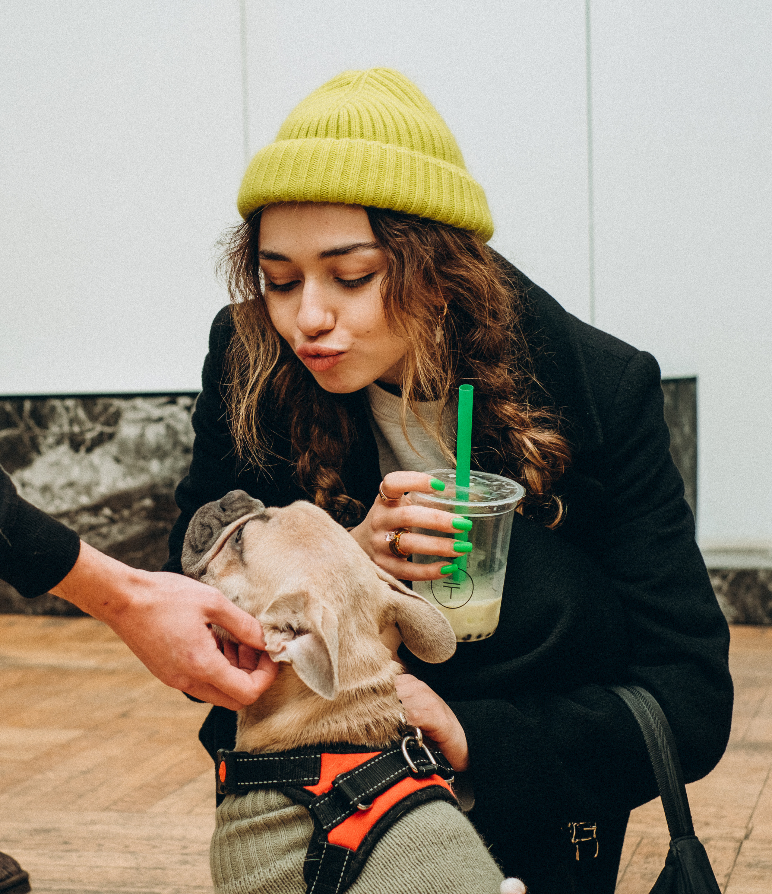 Exhibition. Art event