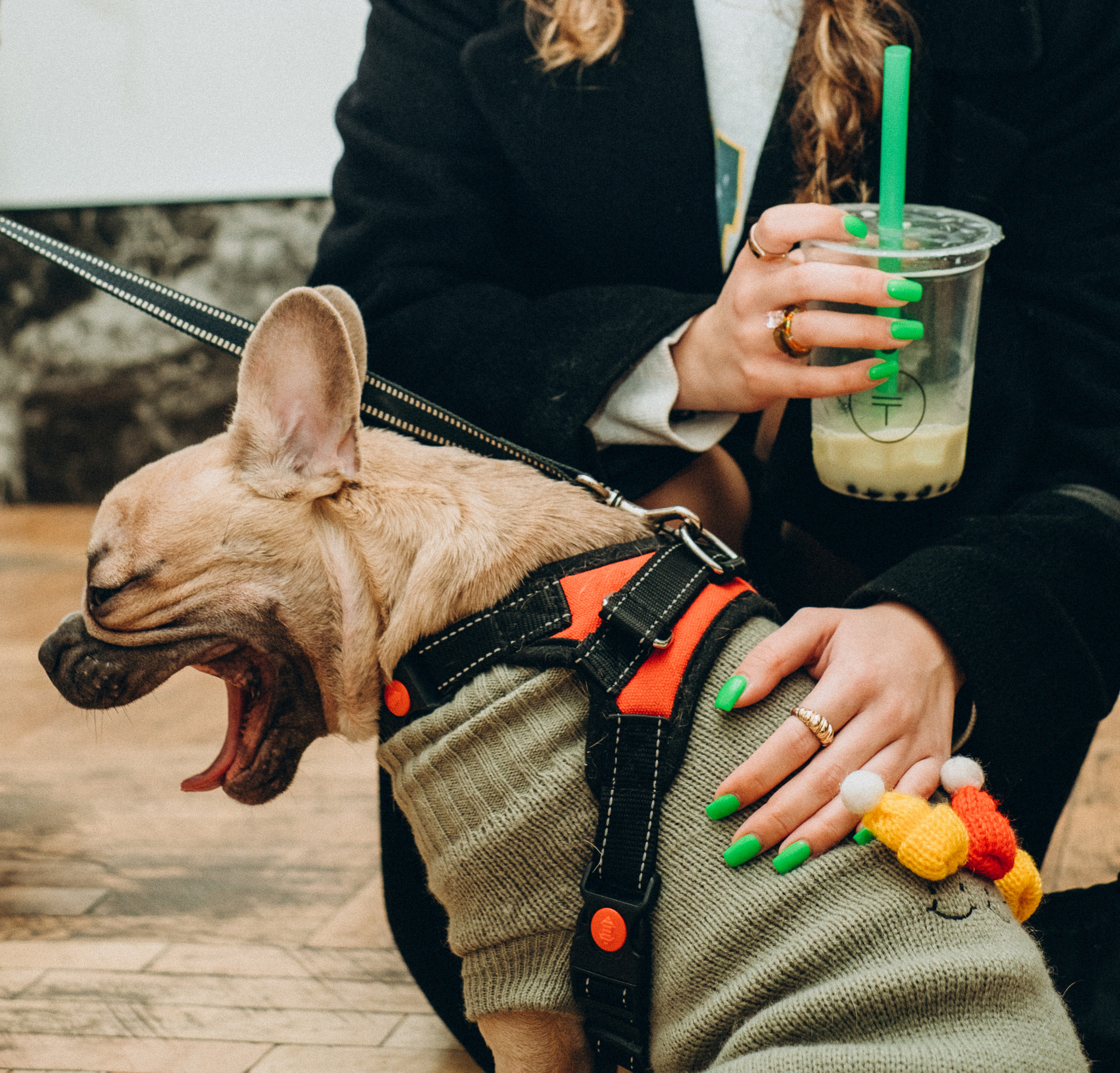 Exhibition. Art event