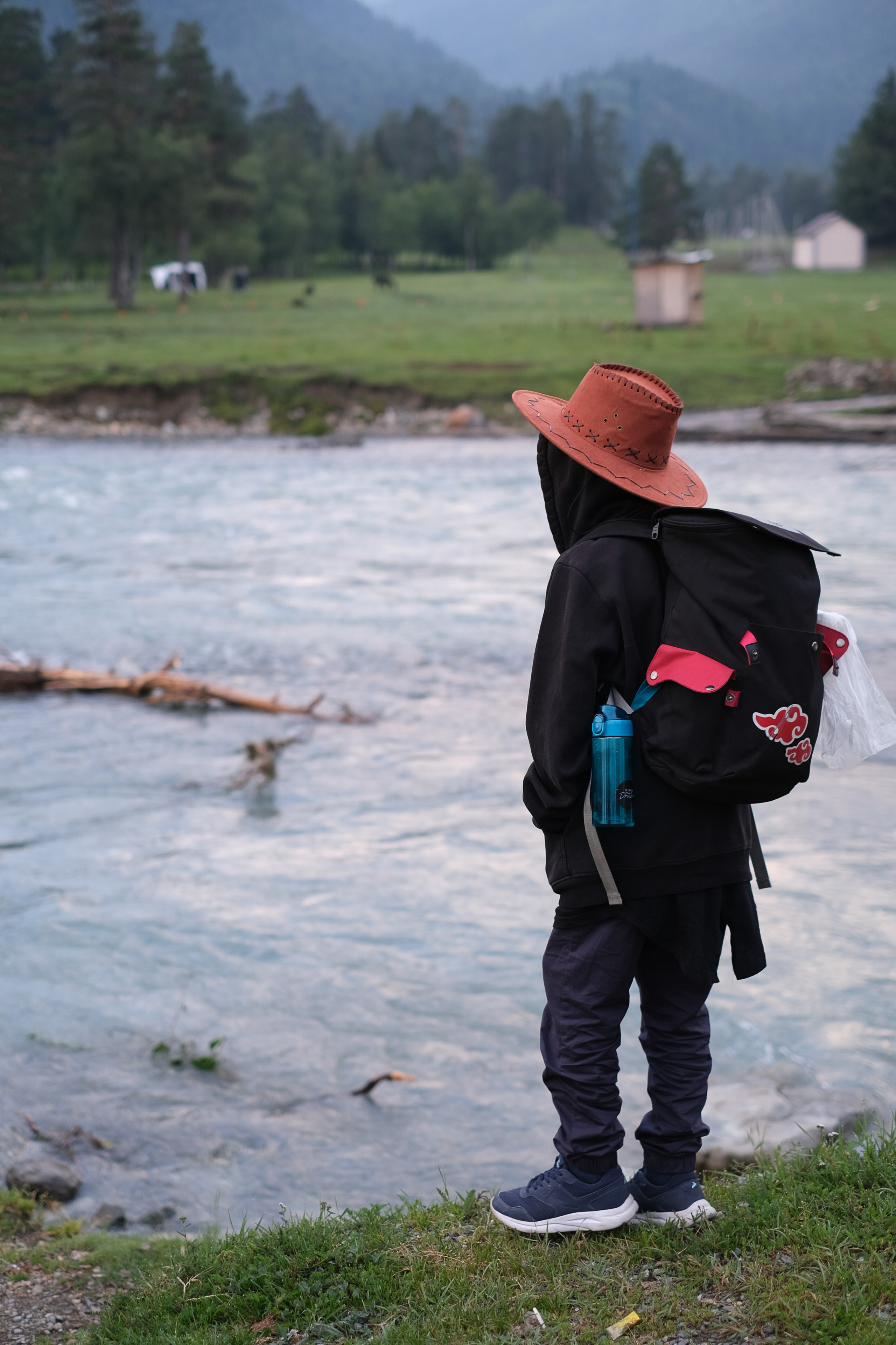 MOUNTAINS ASS FAMILY