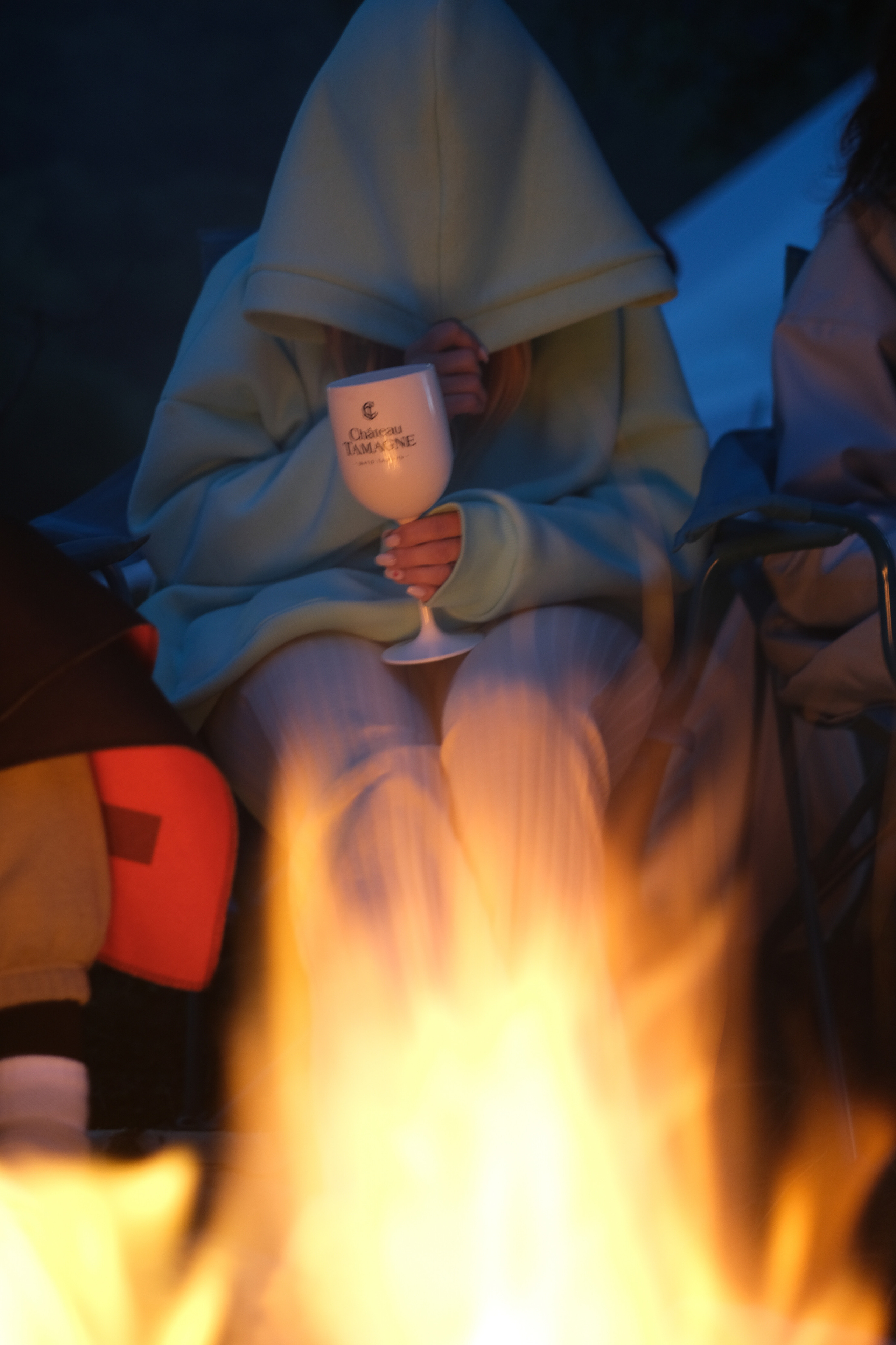 MOUNTAINS ASS FAMILY