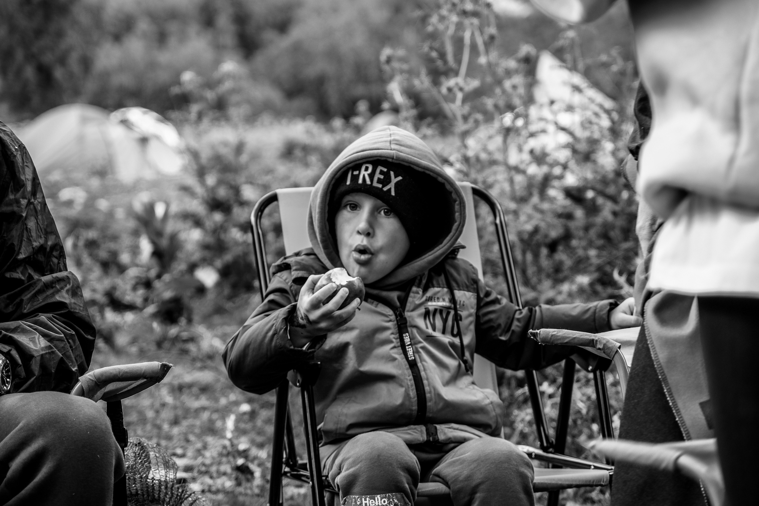 MOUNTAINS ASS FAMILY