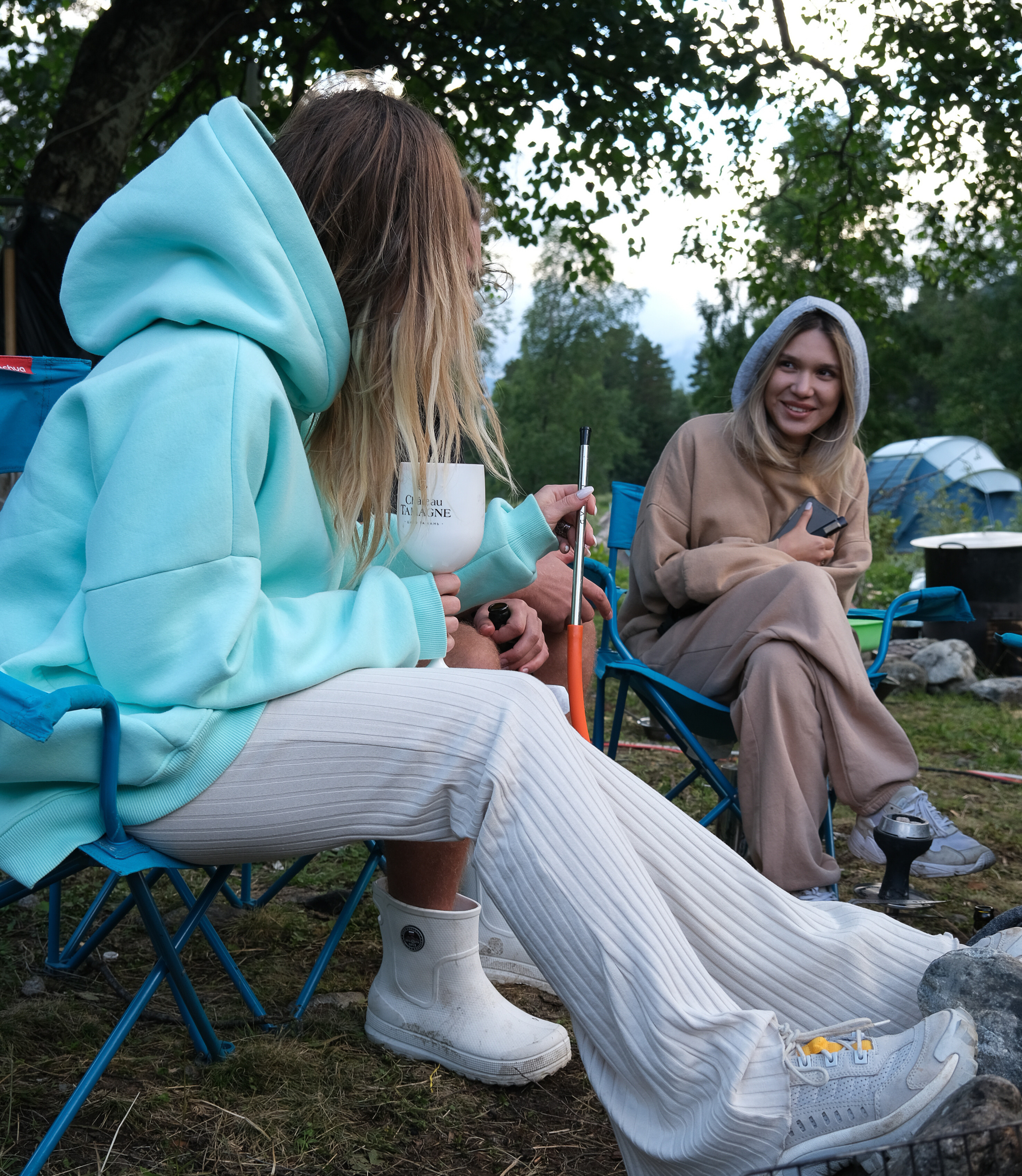 MOUNTAINS ASS FAMILY