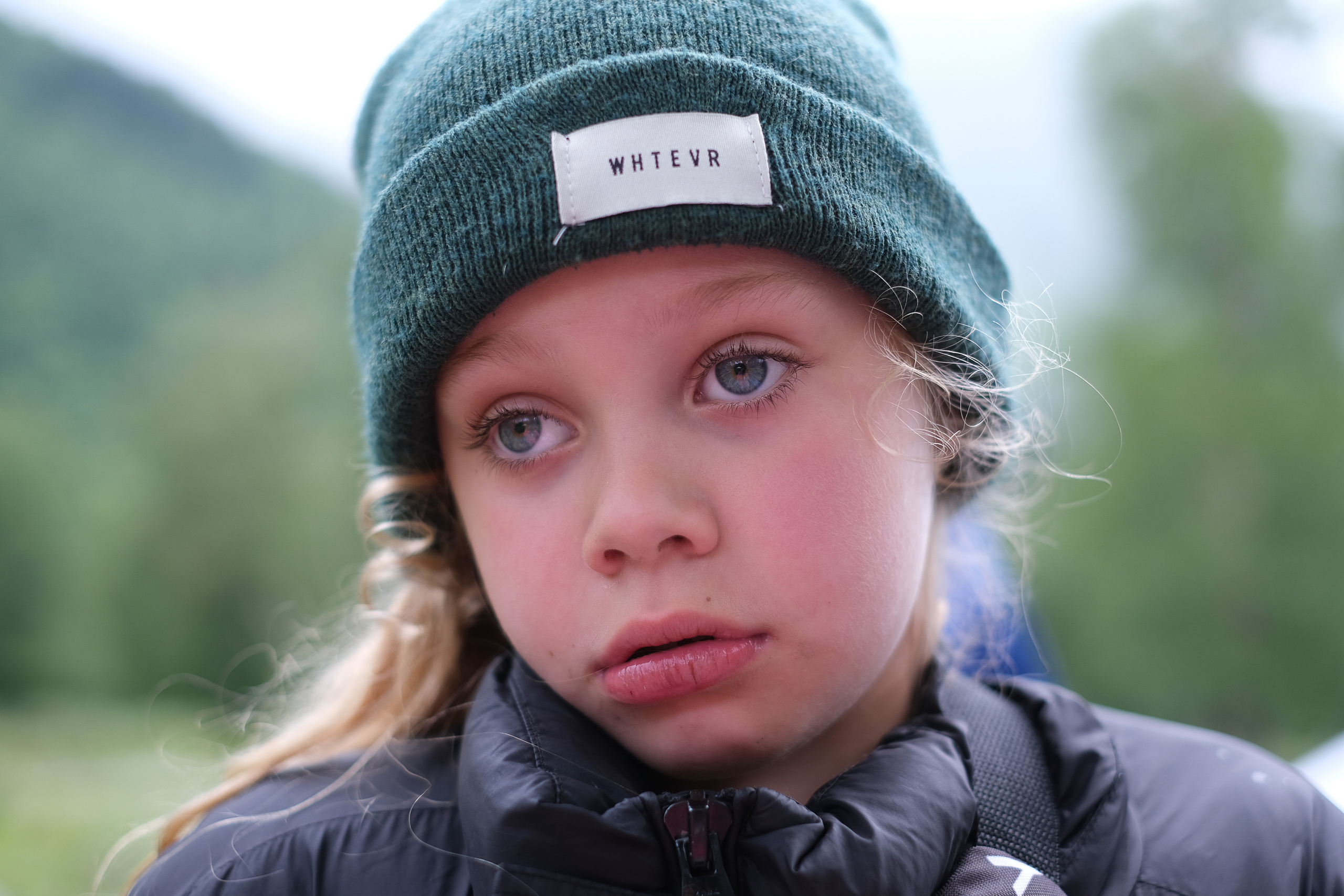 MOUNTAINS ASS FAMILY