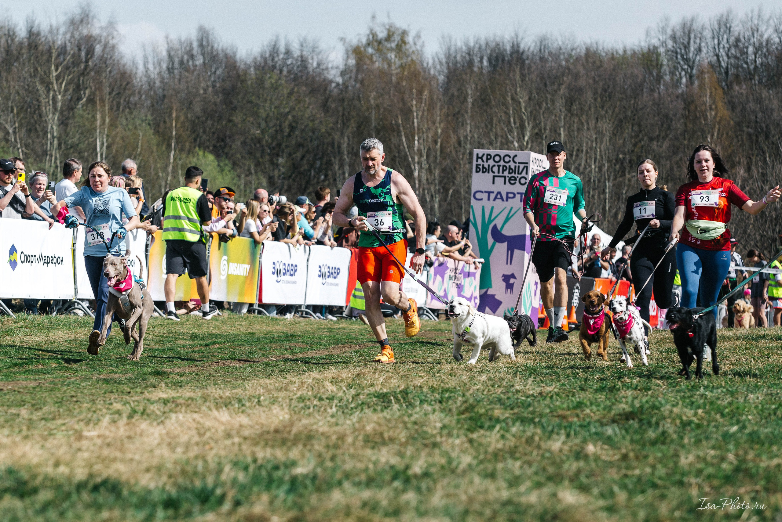Кросс «Быстрый пёс» 2025. Репортажный фотограф в Москве