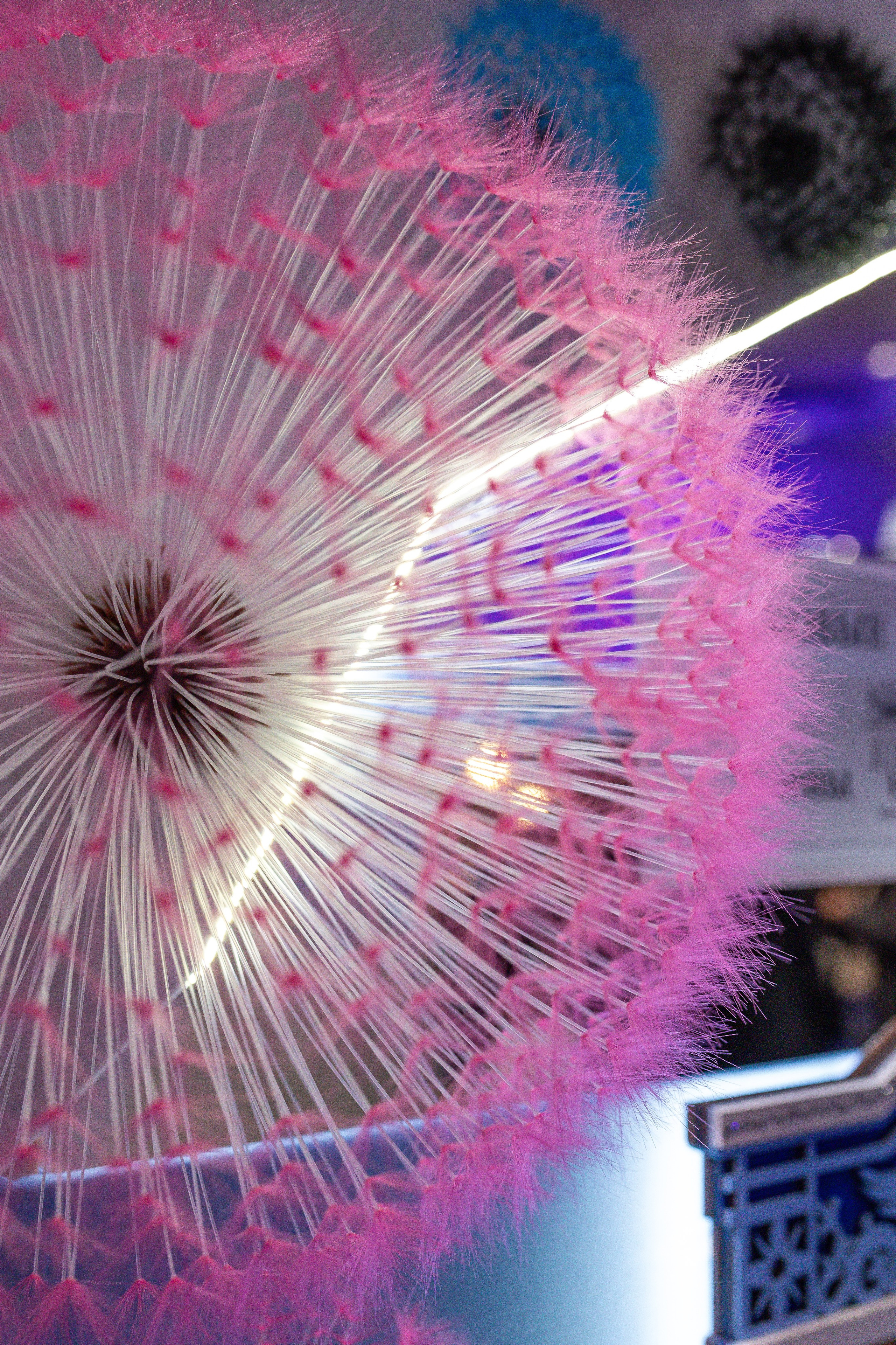 ART FLECTION. Александра Куликова фотограф, Москва