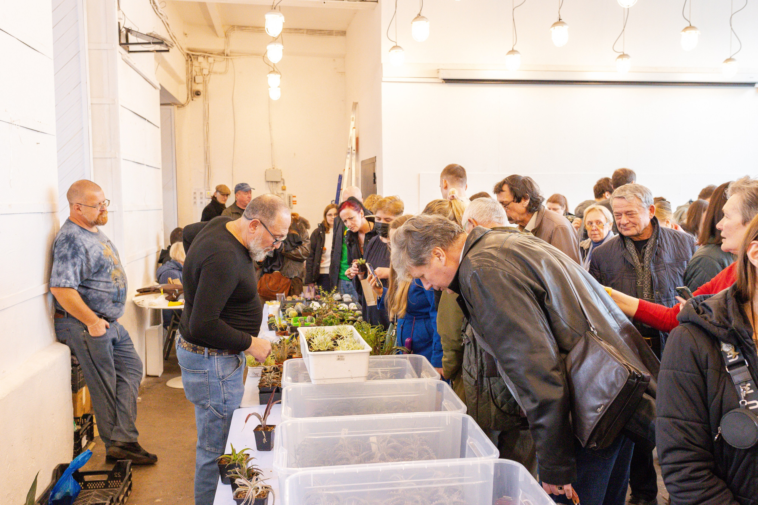 Кактус Фест. Александра Куликова фотограф, Москва