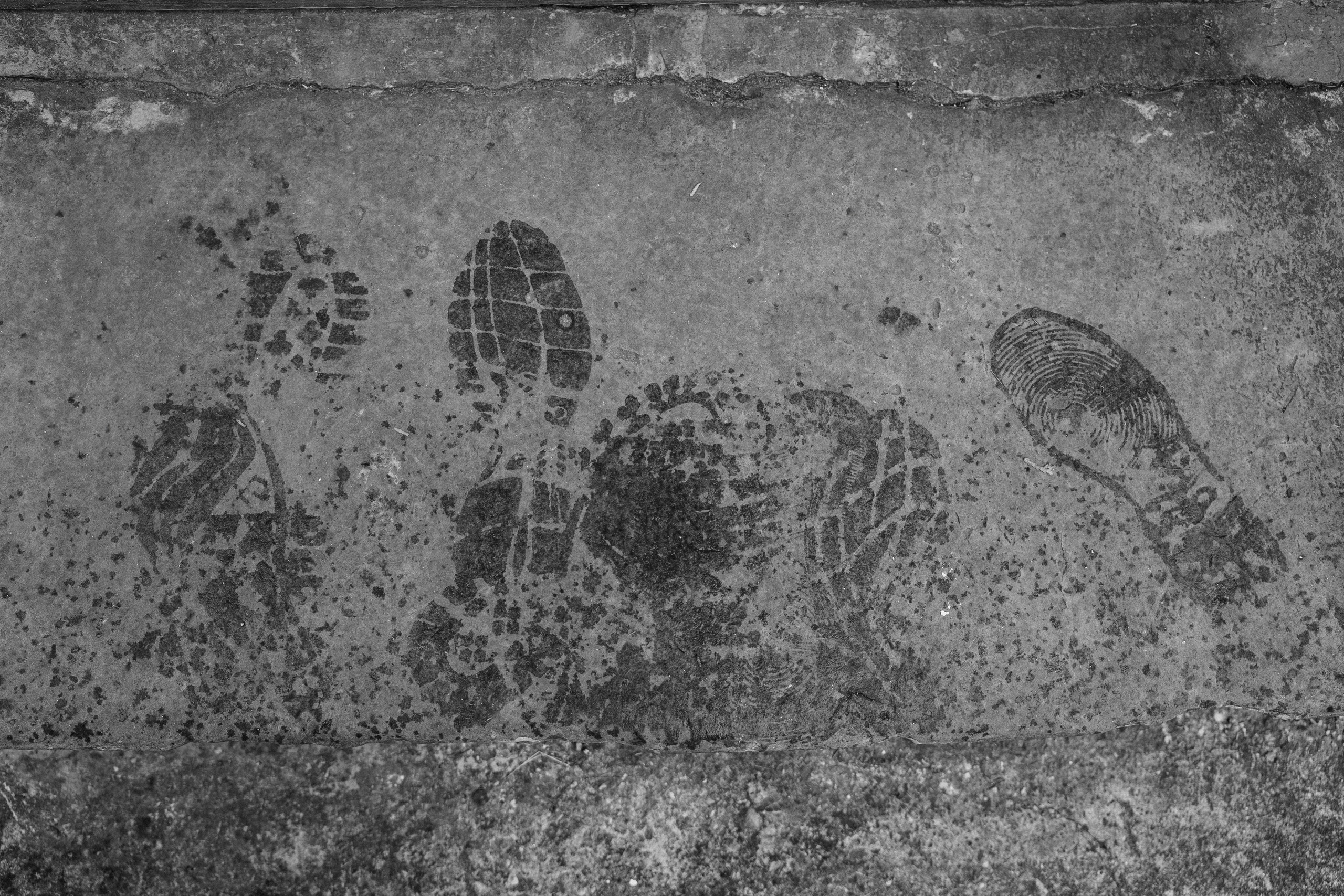 За кулисами эмоций. Фотограф Евстигнеев Илья