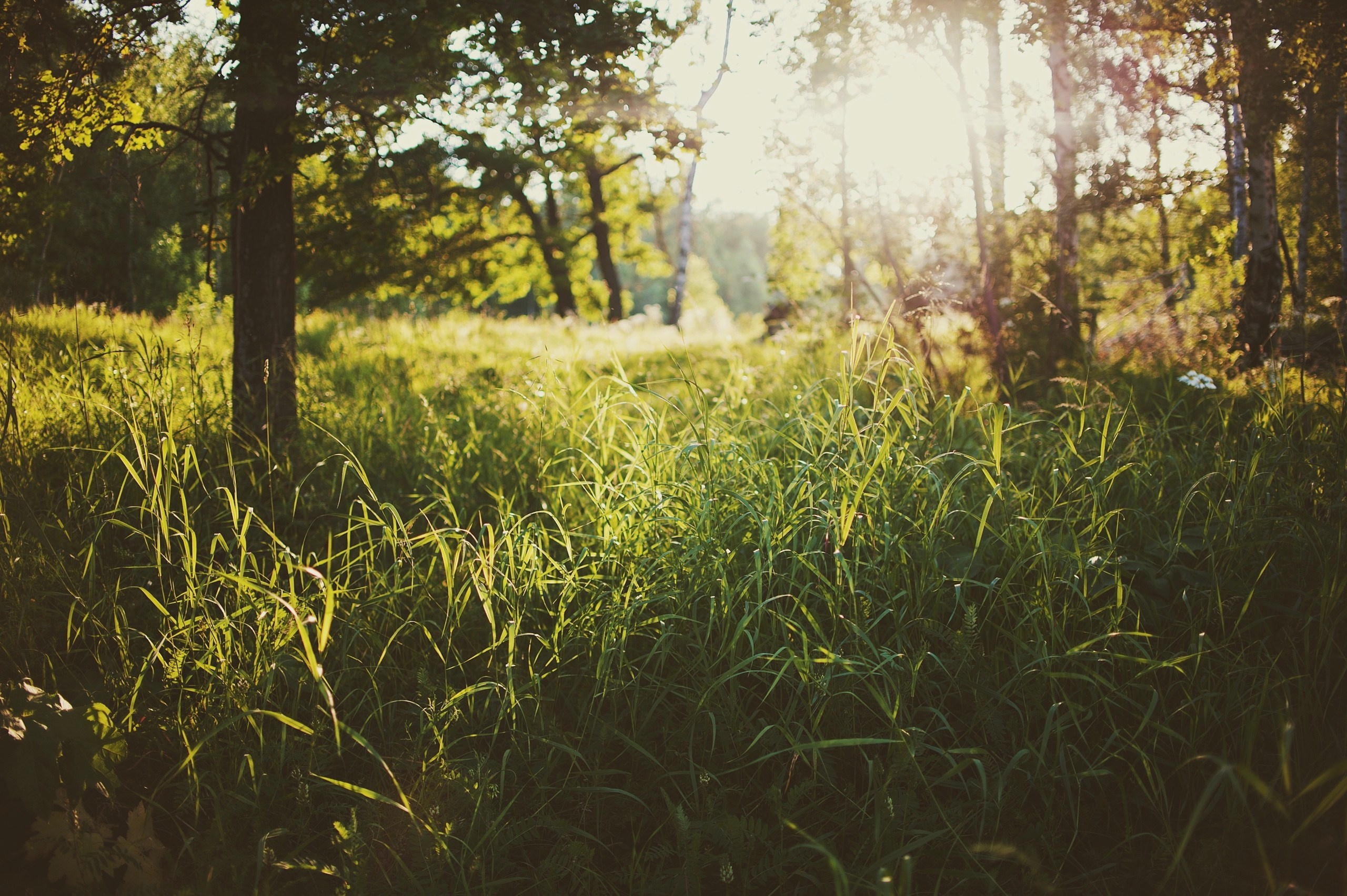 Пейзажи. Свадебный и портретный фотограф в Новом Уренгое Андрей Нелескин