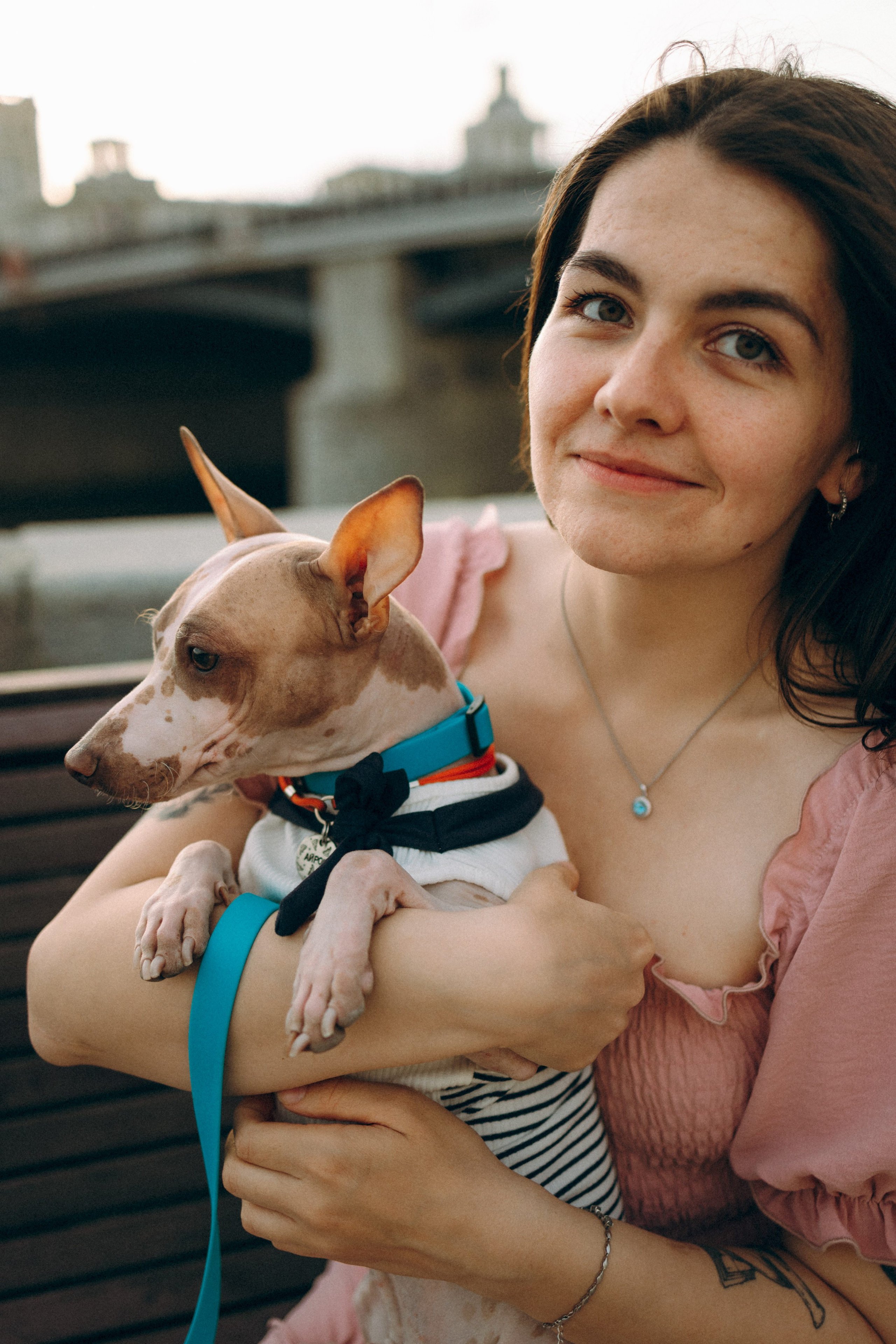 Глаша, Айрон, Ксюша и Оля. Фотограф анималист Анастасия Пикей