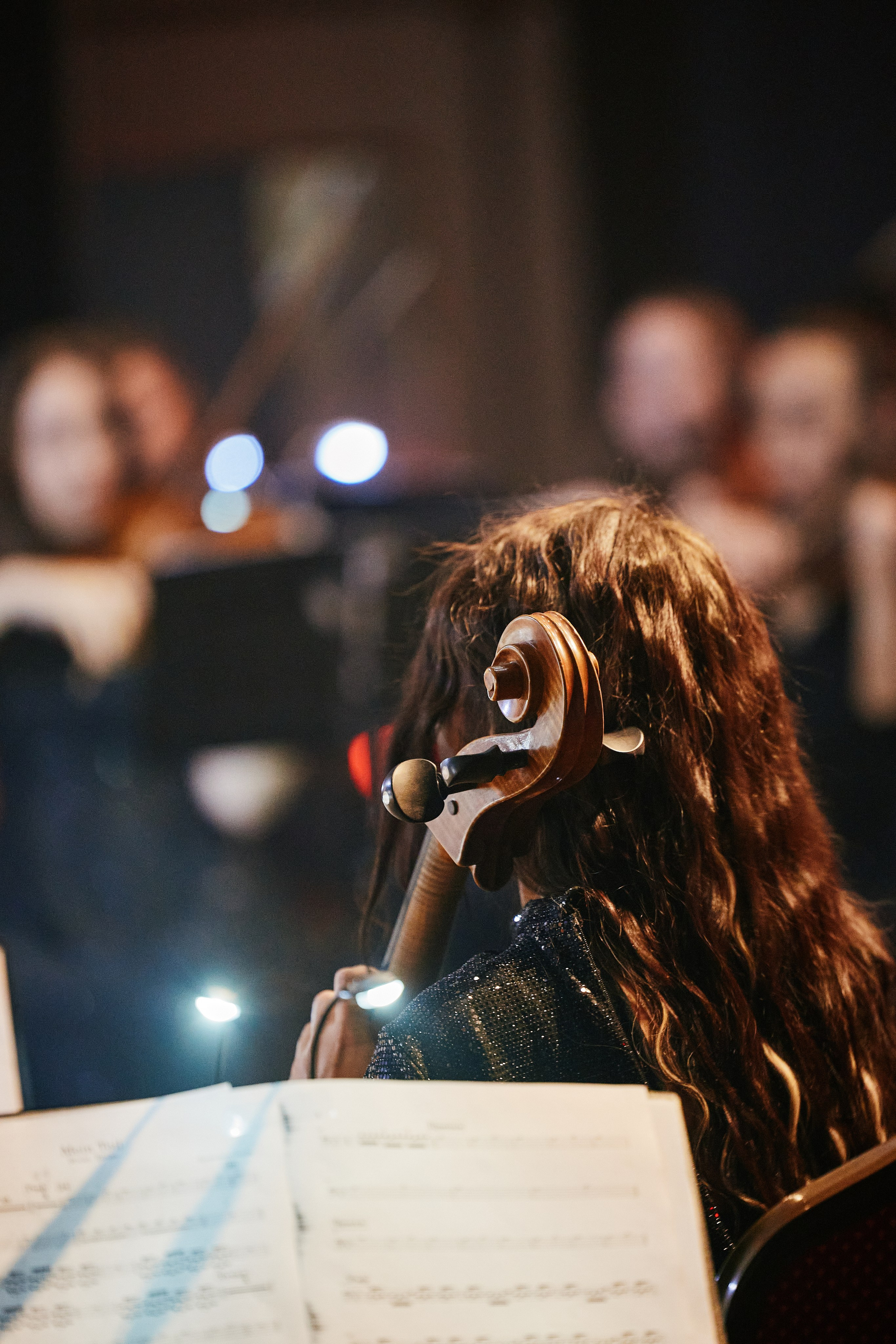 Rammstein Show Tribute 19.02. Свадебный репортажный фотограф краснодар максим дремов дрёмов фотосессия студия цена