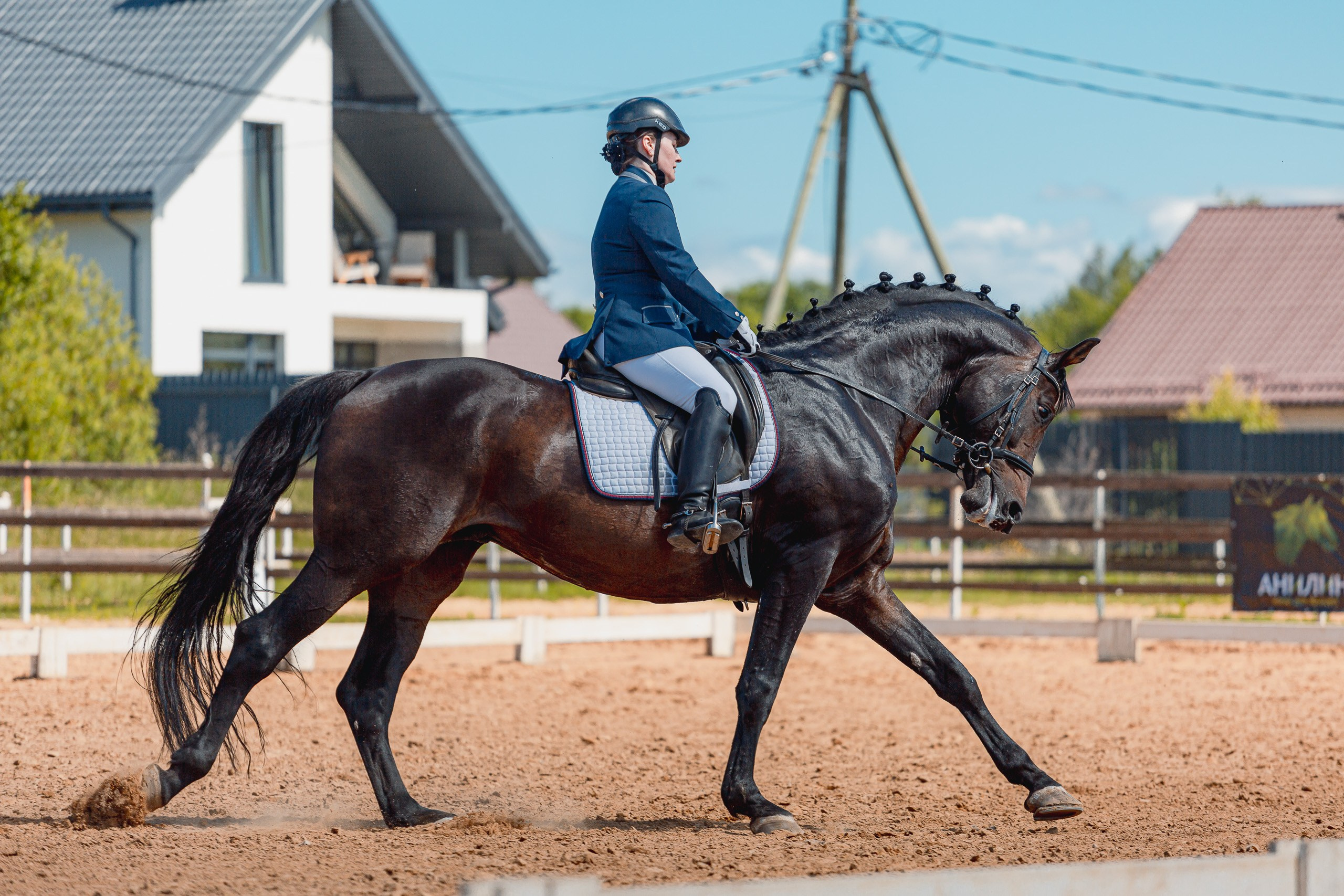 Портретный и конный фотограф в Санкт-Петербурге — Сергей Крылов