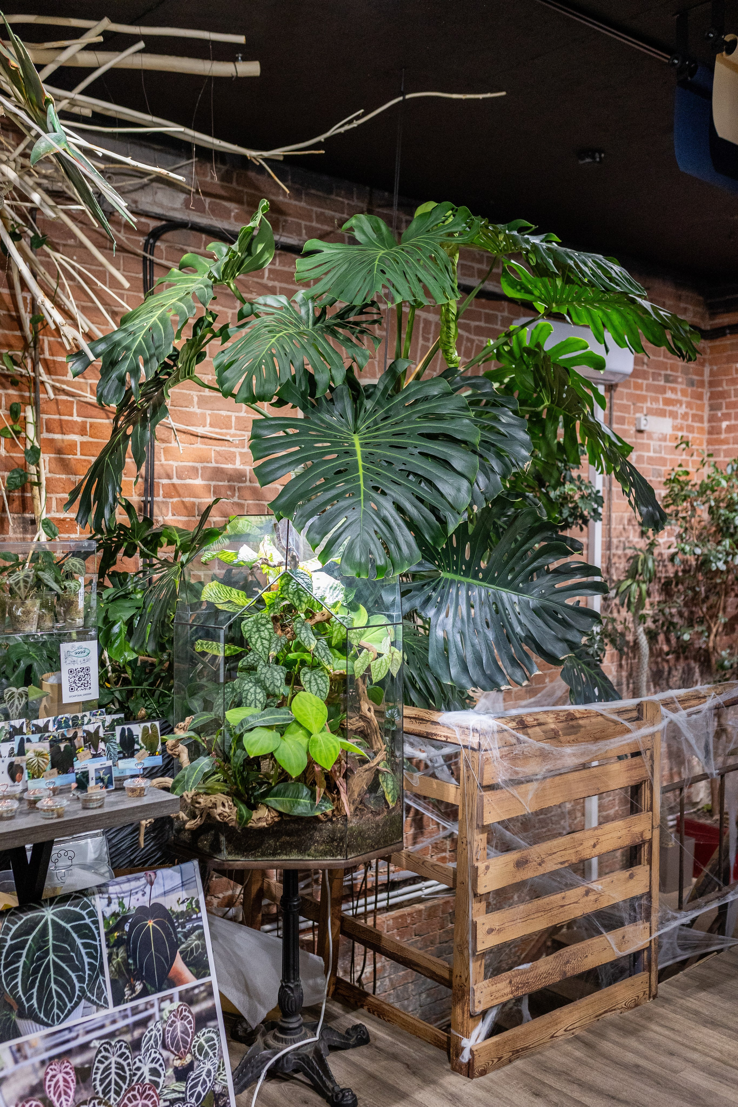 GreenRare ярмарка 2024. Александра Куликова фотограф, Москва