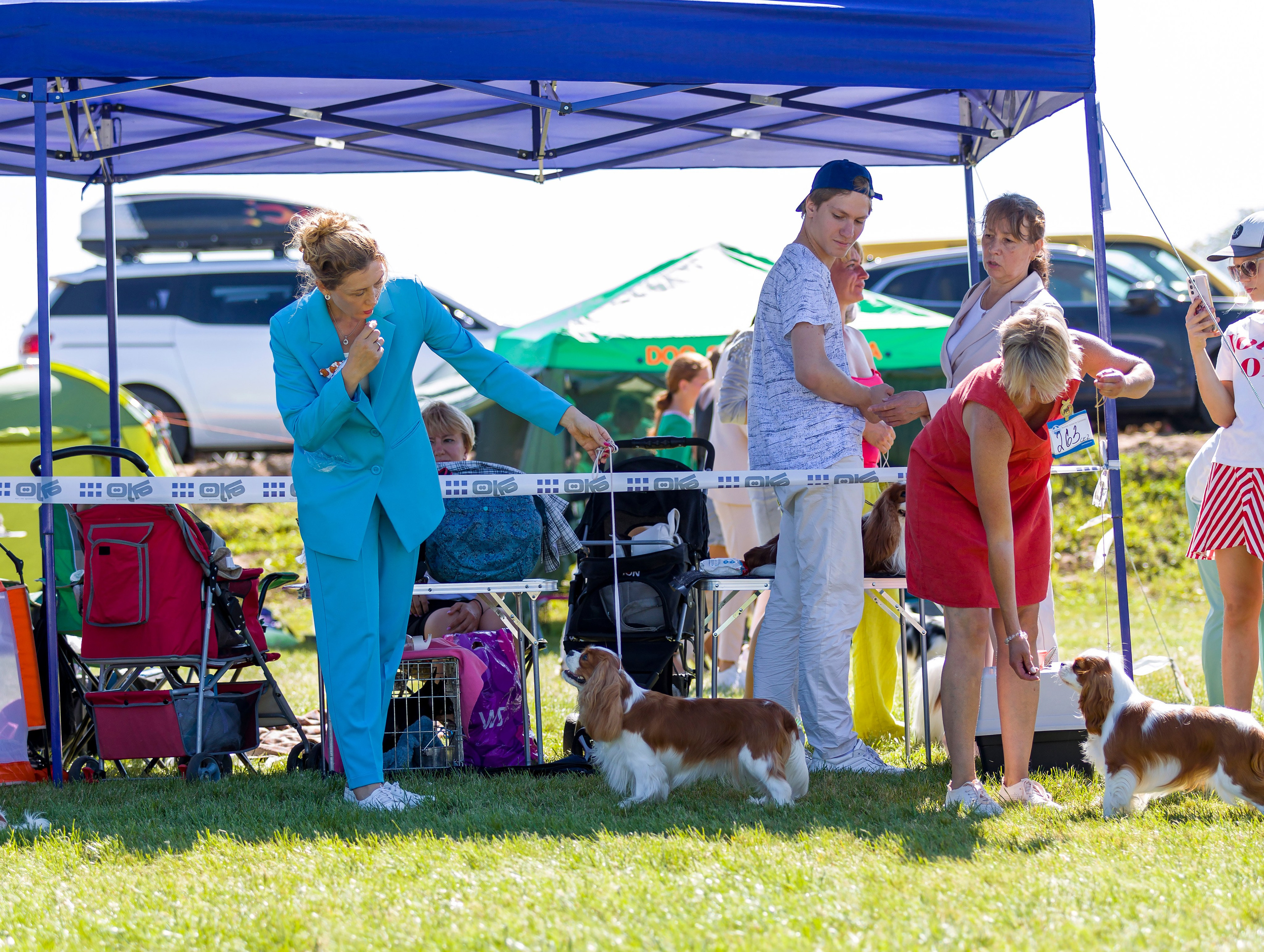 Выставки. Фотограф — анималист Татьяна Ли
