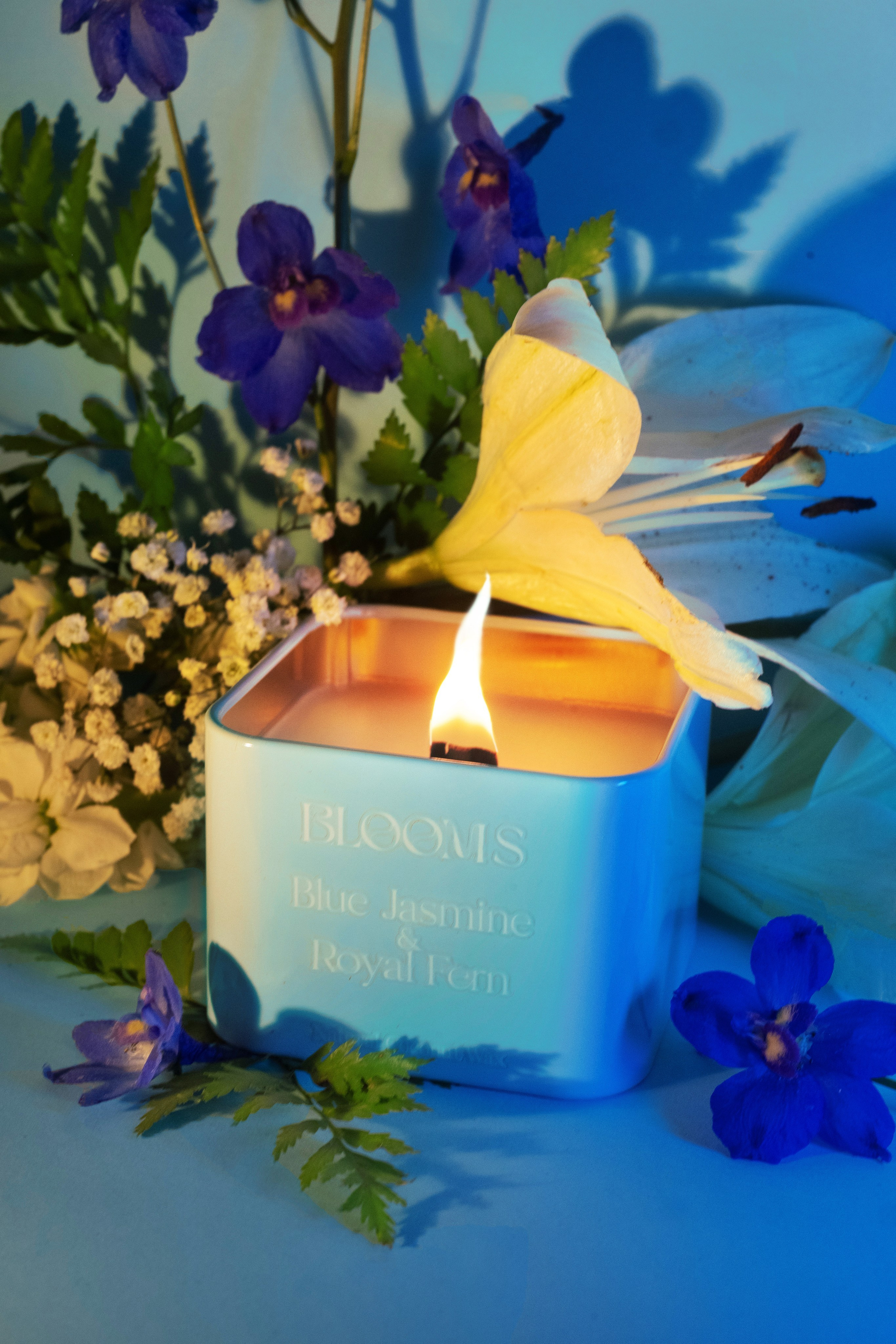 Предметная съемка. Фотограф Полина Гольдис