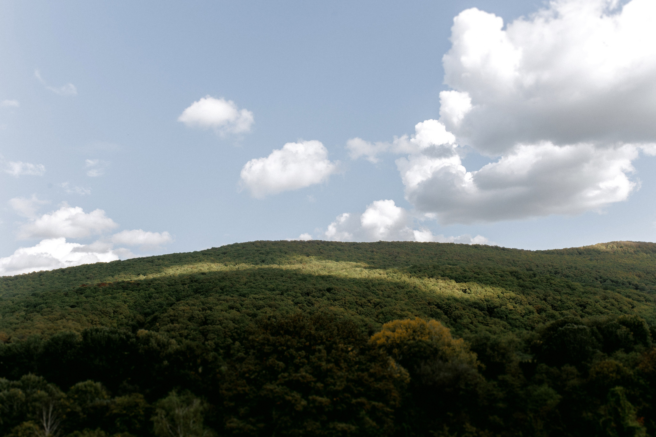 Марина, Салют♥. Свадебный фотограф Краснодар — Сочи — Алексей Титов