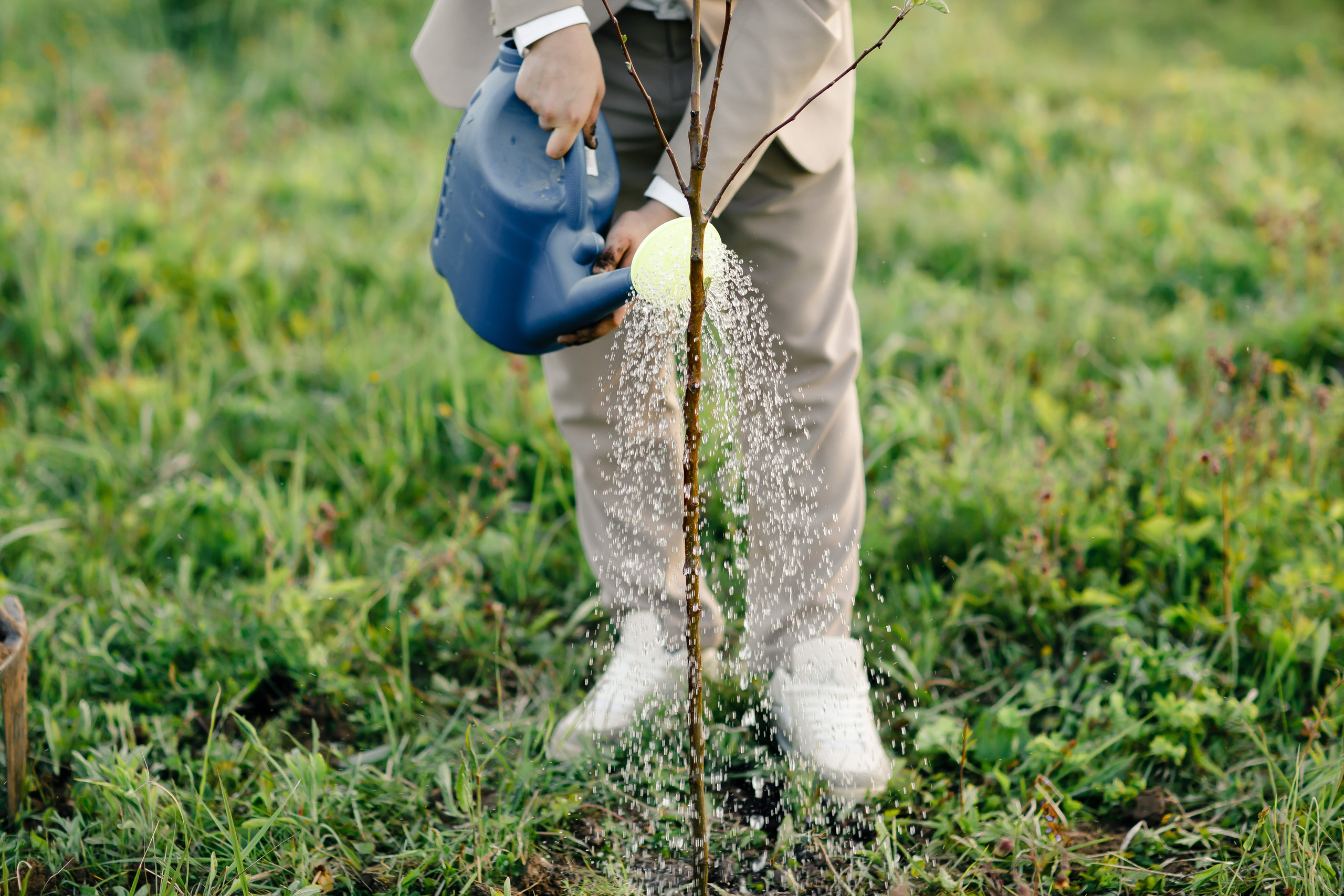 Гликерия и Дмитрий|Ранчо. Свадебный фотограф Серпухов — Москва Ольга Васильева