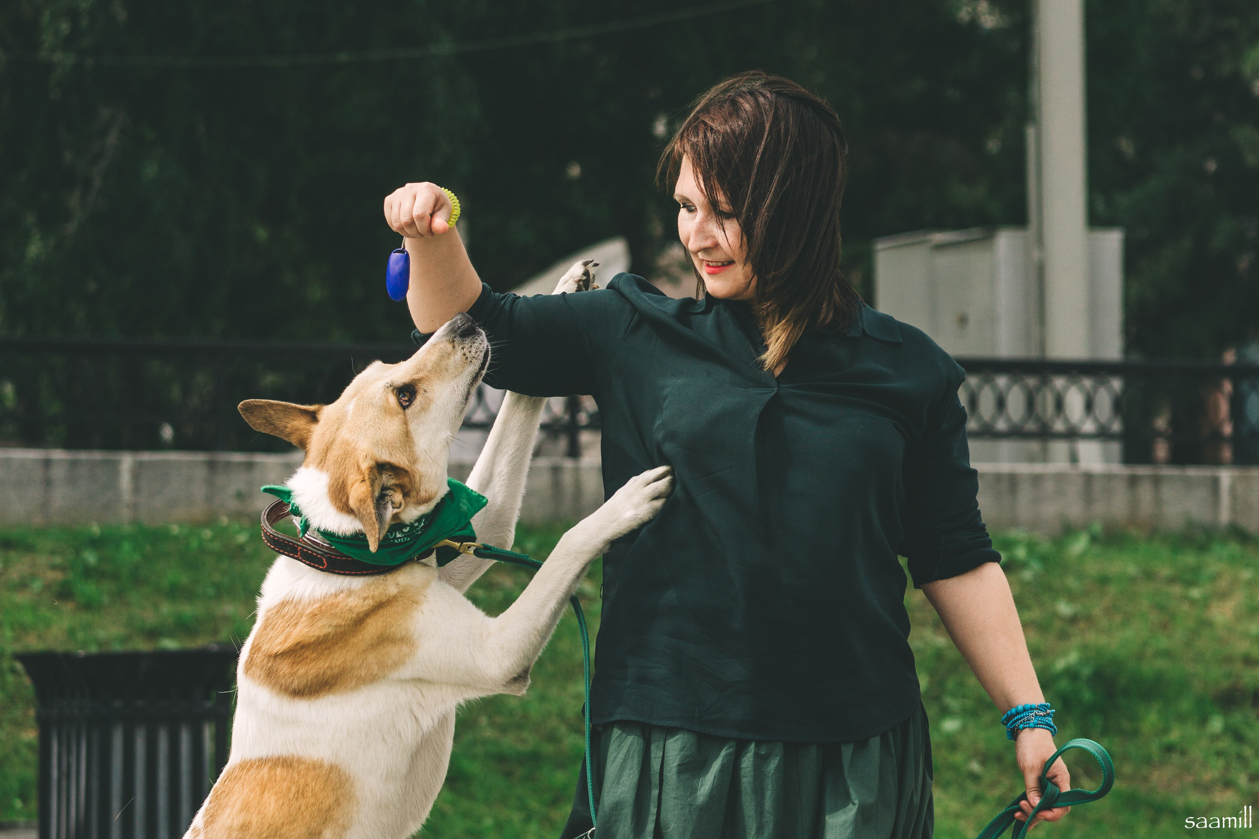 Life with dog. Saamill