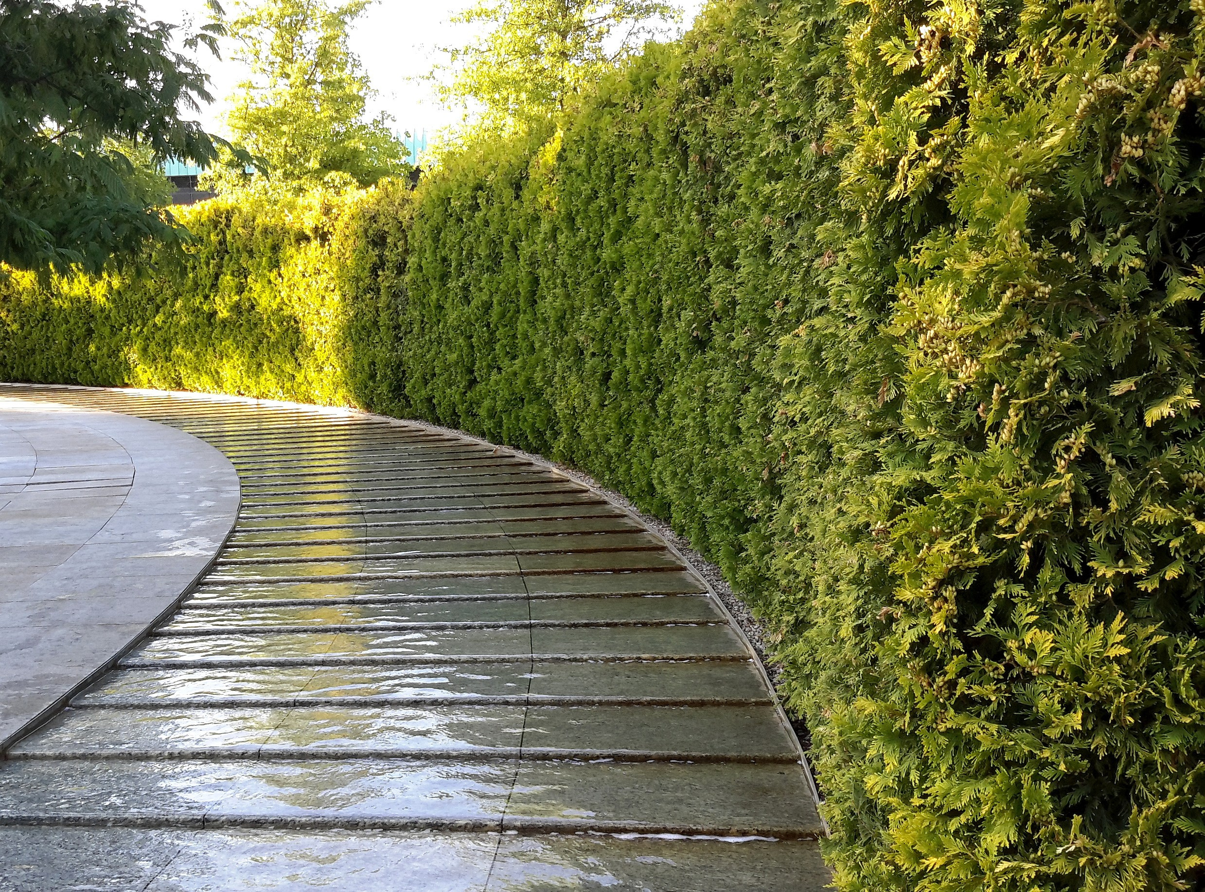 Парк Краснодар (парк Галицкого). Фотограф Славянск на Кубани