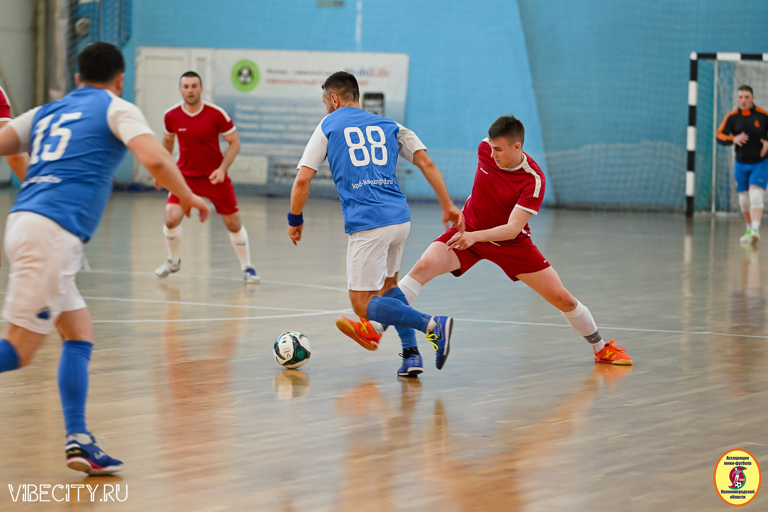 МФЛ СанТермо. VIBECITY.RU Вайб Сити Ру Фоторепортажи Фотоотчеты Калининград