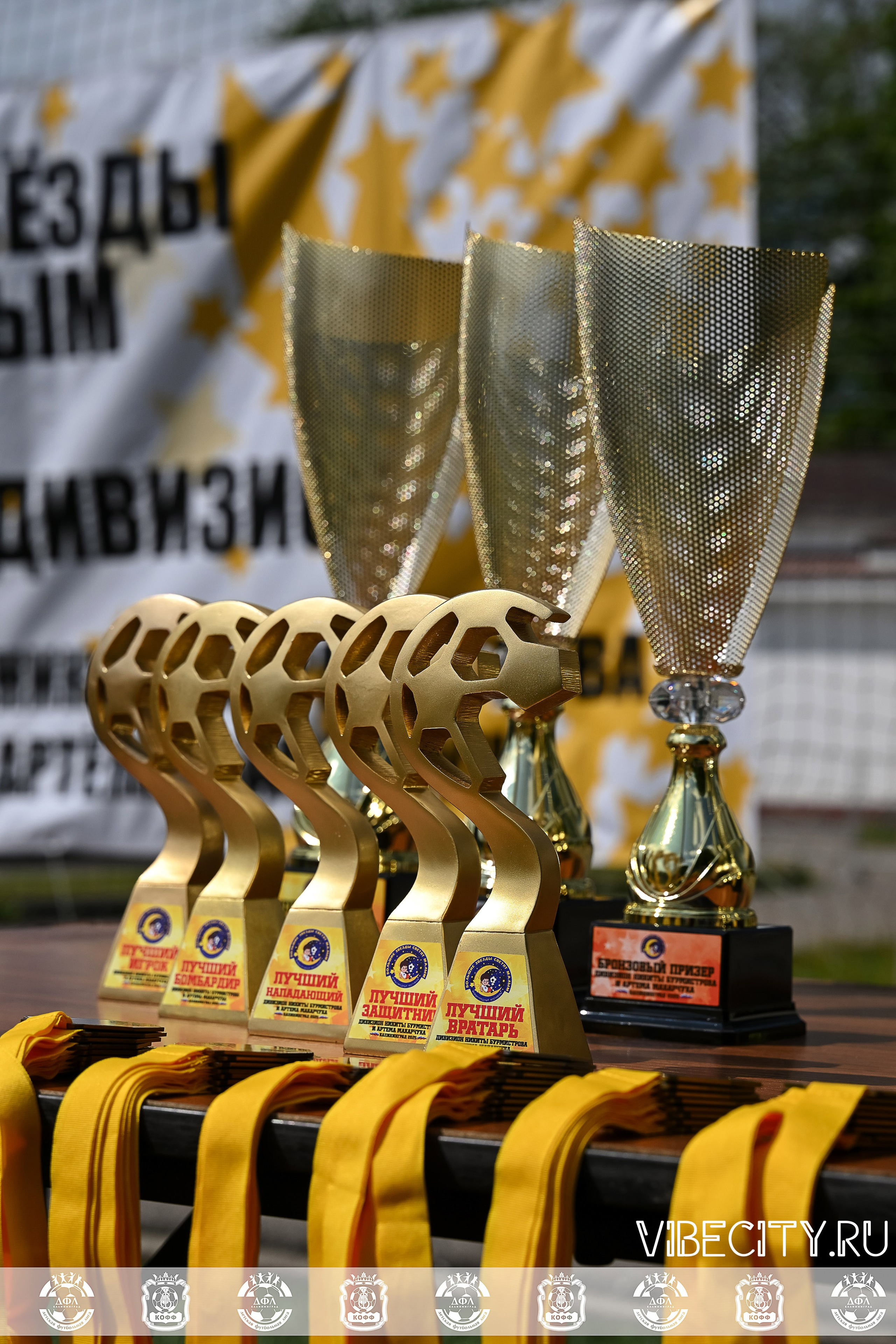 Большие Звезды светят Малым. VIBECITY.RU Вайб Сити Ру Фоторепортажи Фотоотчеты Калининград