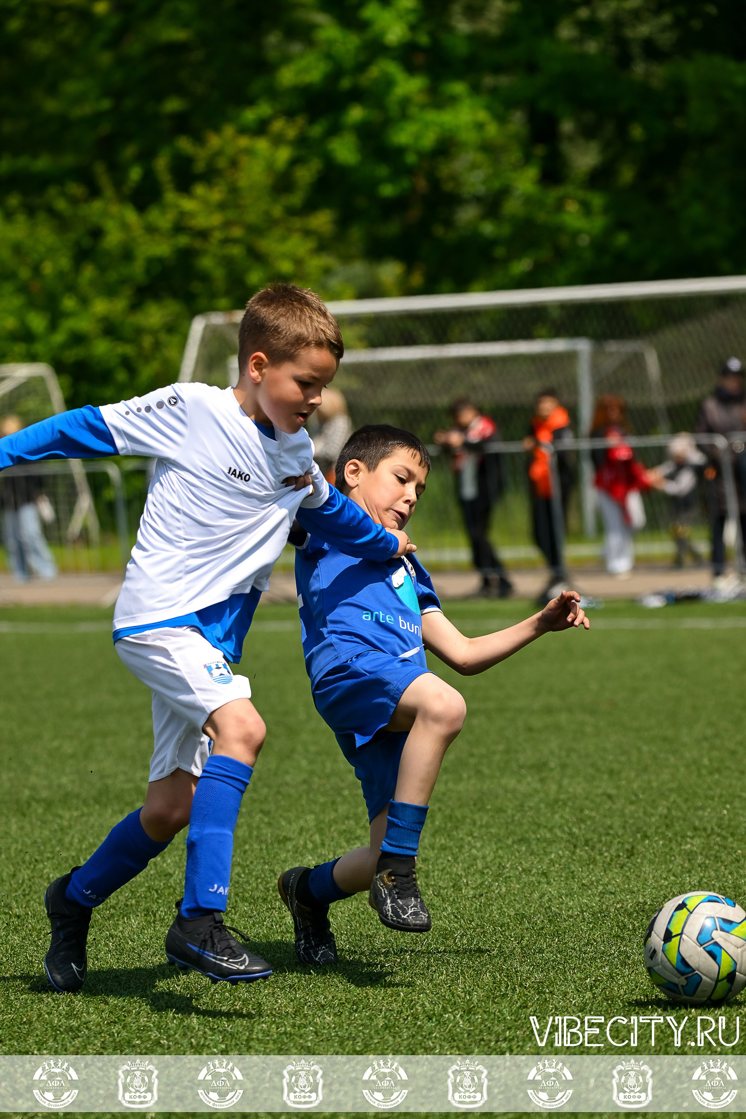 Большие Звезды светят Малым. VIBECITY.RU Вайб Сити Ру Фоторепортажи Фотоотчеты Калининград