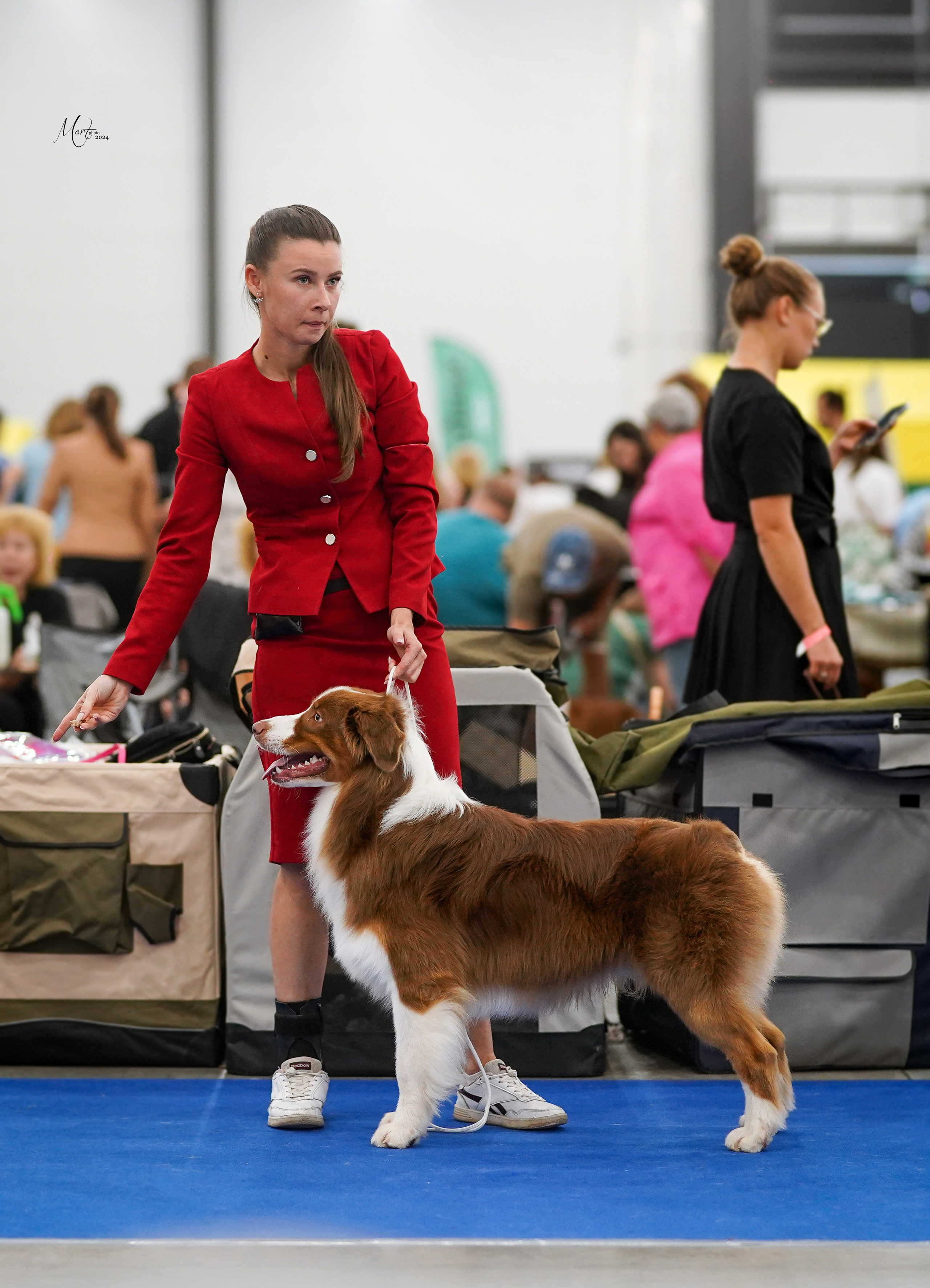 Выставки 2024. Фотограф-анималист в Санкт-Петербурге Яна Мартынова