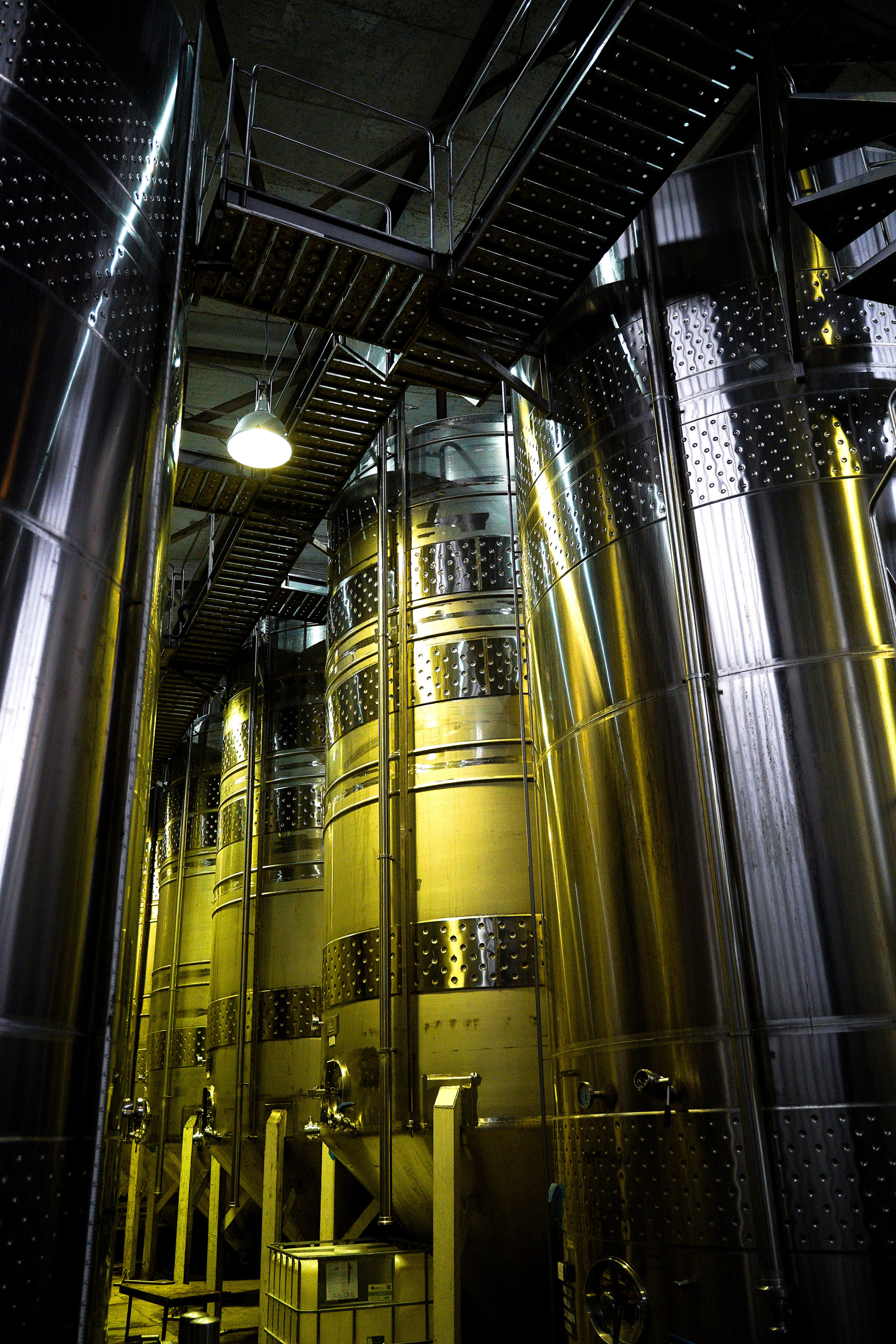 КОНТЕНТ СЪЕМКА I ВИЗУАЛ. Профессиональный фотограф Виктория Соломкина. Майкоп-ЮФО