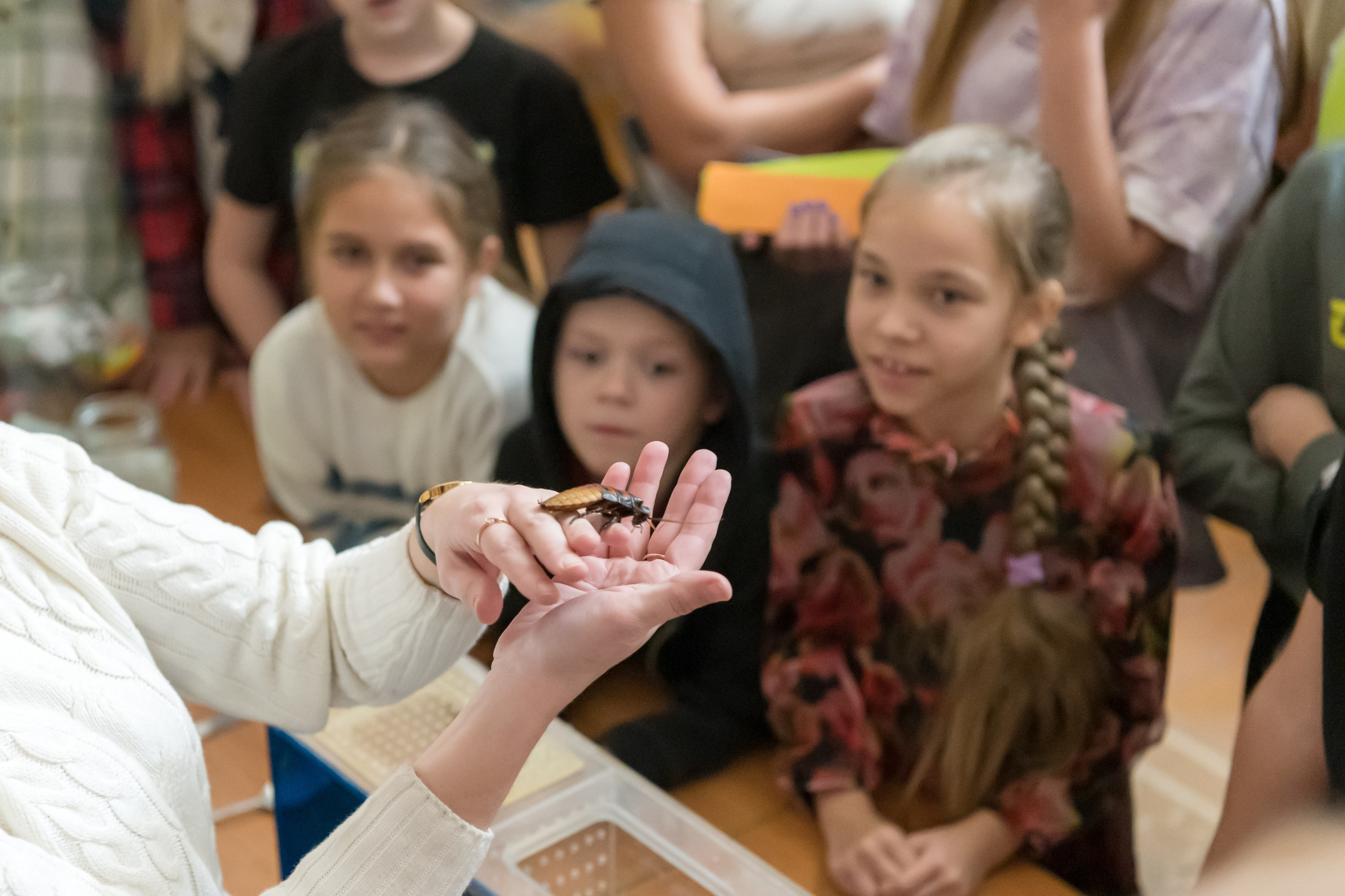 Фотосъемка детей. Видеосъемка, фотосъемка Искитим — Новосибирск, Сергей Тясто