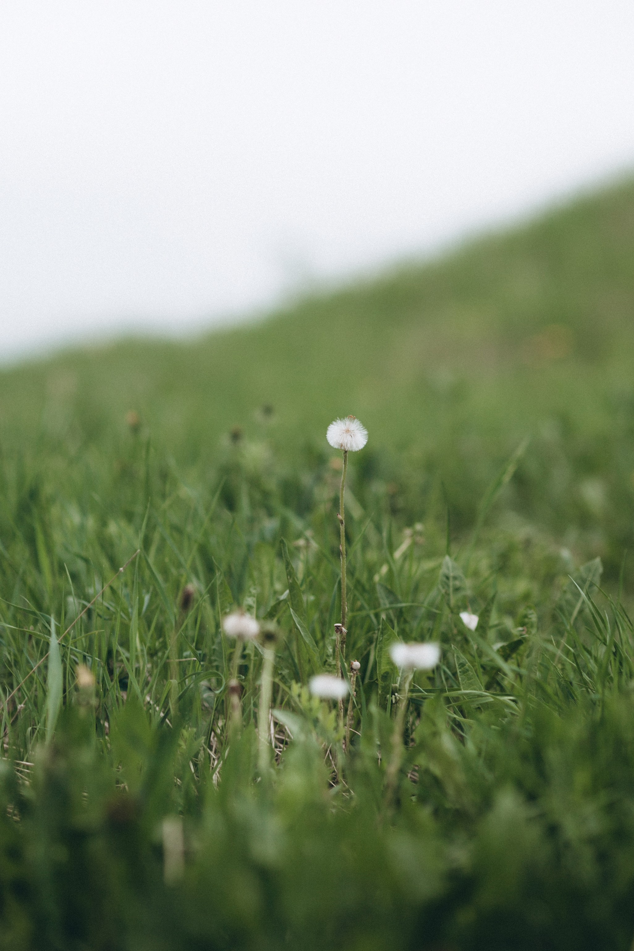 Леся. Фотограф в Ухте