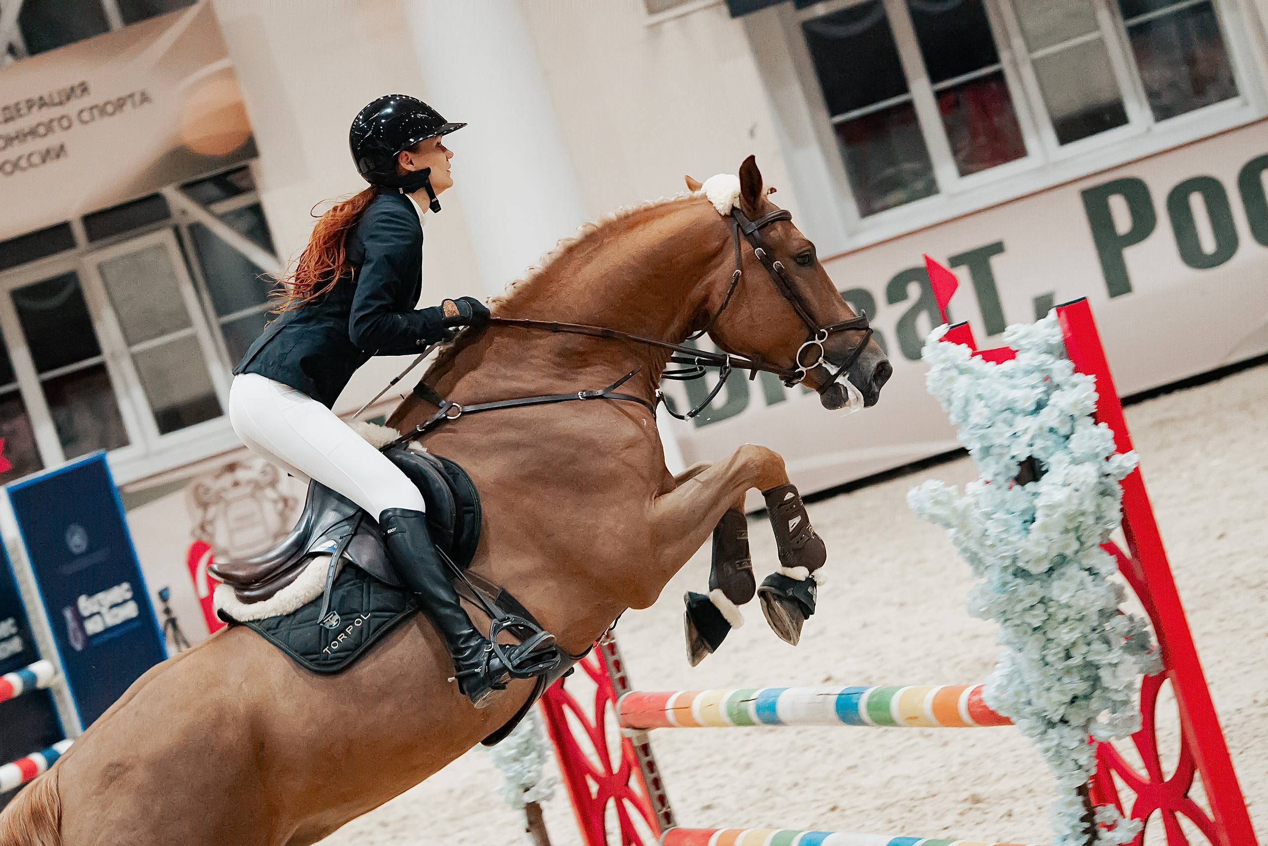 ЧЕМПИОНАТ МОСКОВСКОЙ ОБЛАСТИ ПО КОНКУРУ КСК «ВИВАТ, РОССИЯ!». Куракина Дарья • Конный фотограф