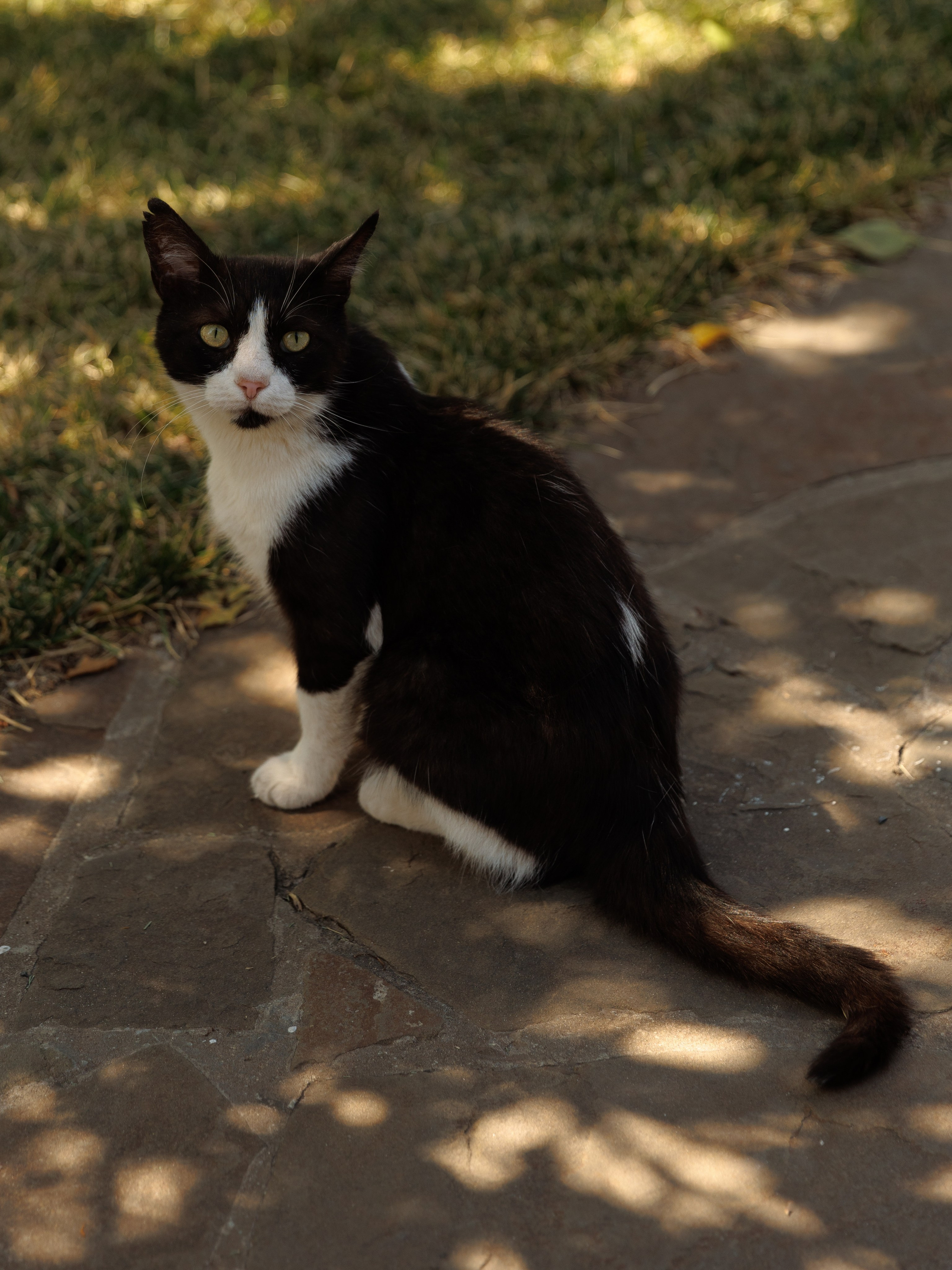 Артем и Анастасия. Фотограф